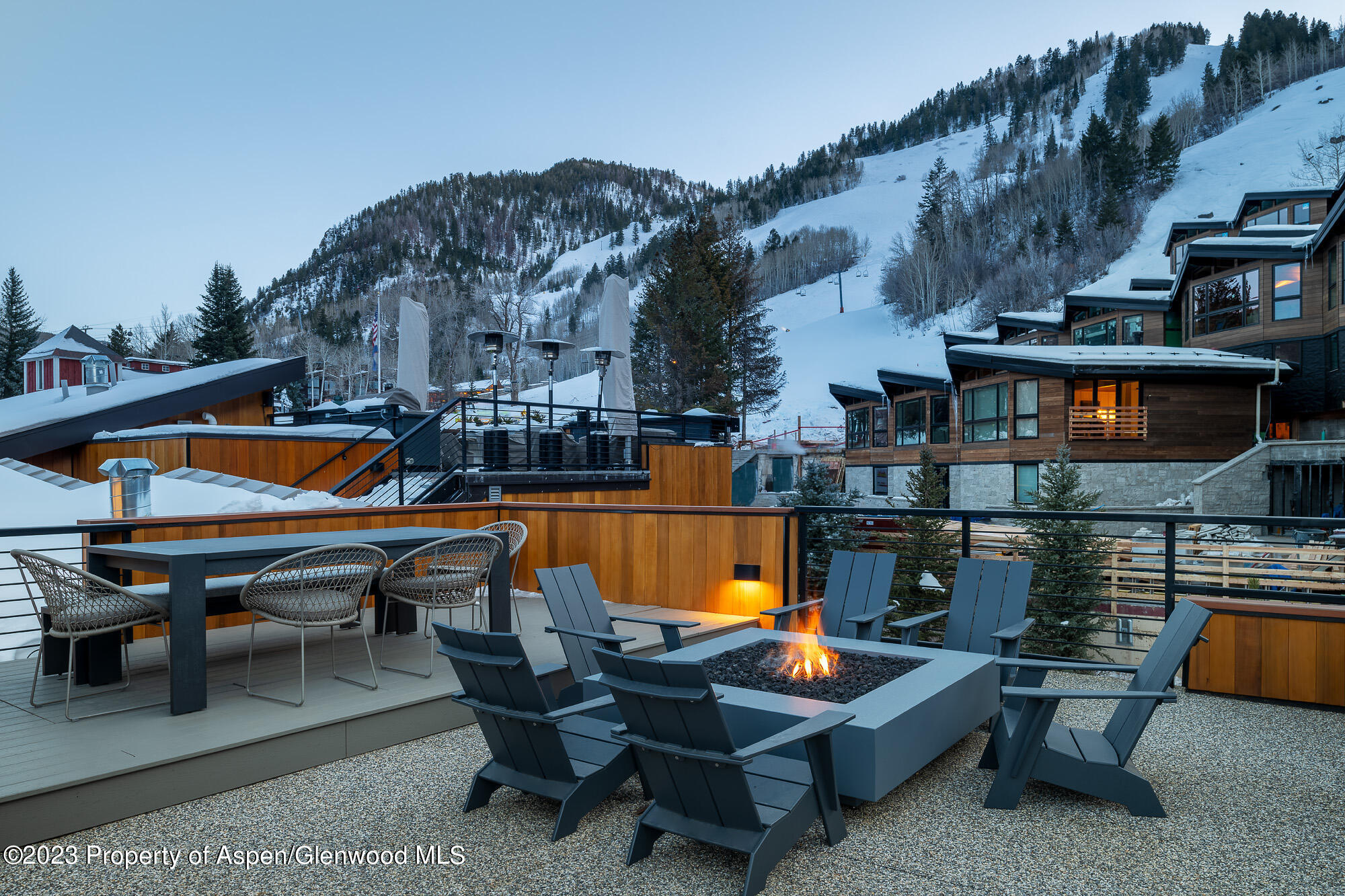 755 S Aspen Street Aspen CO 81611