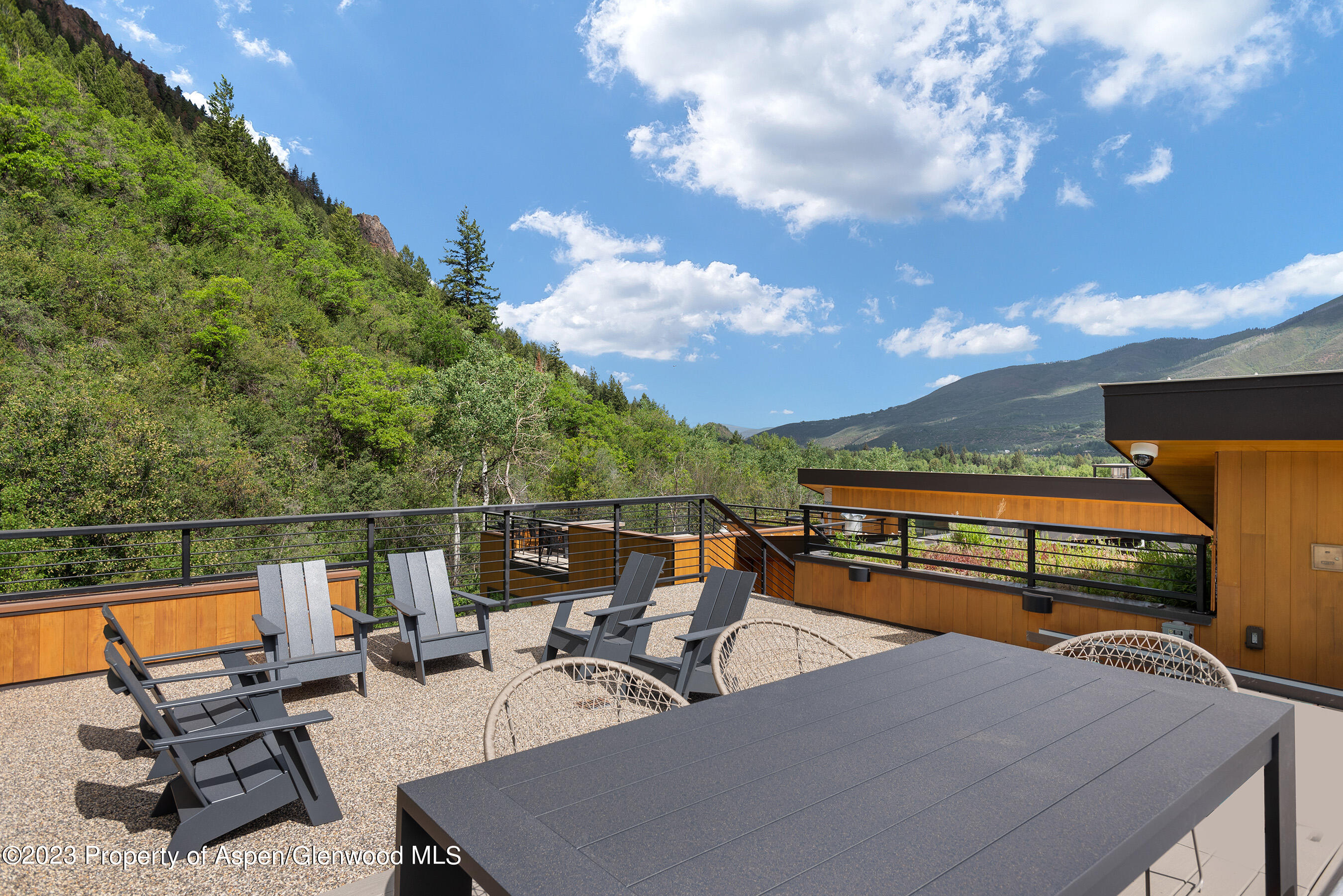 755 S Aspen Street Aspen CO 81611