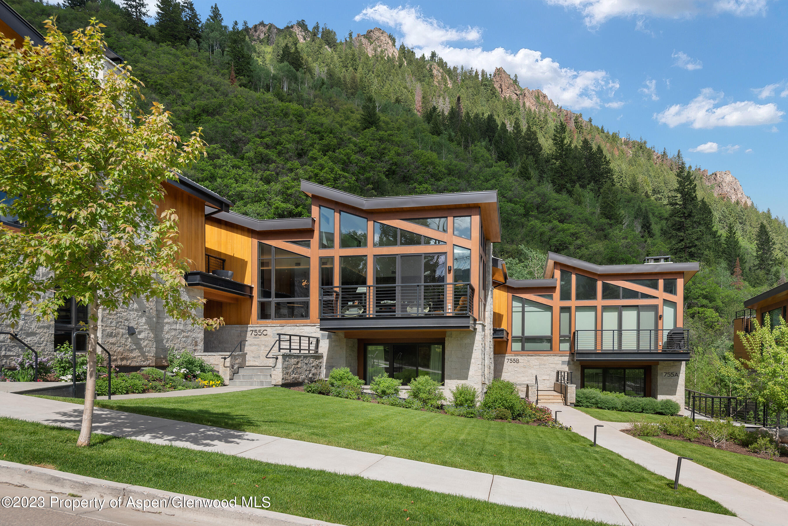 755 S Aspen Street Aspen CO 81611