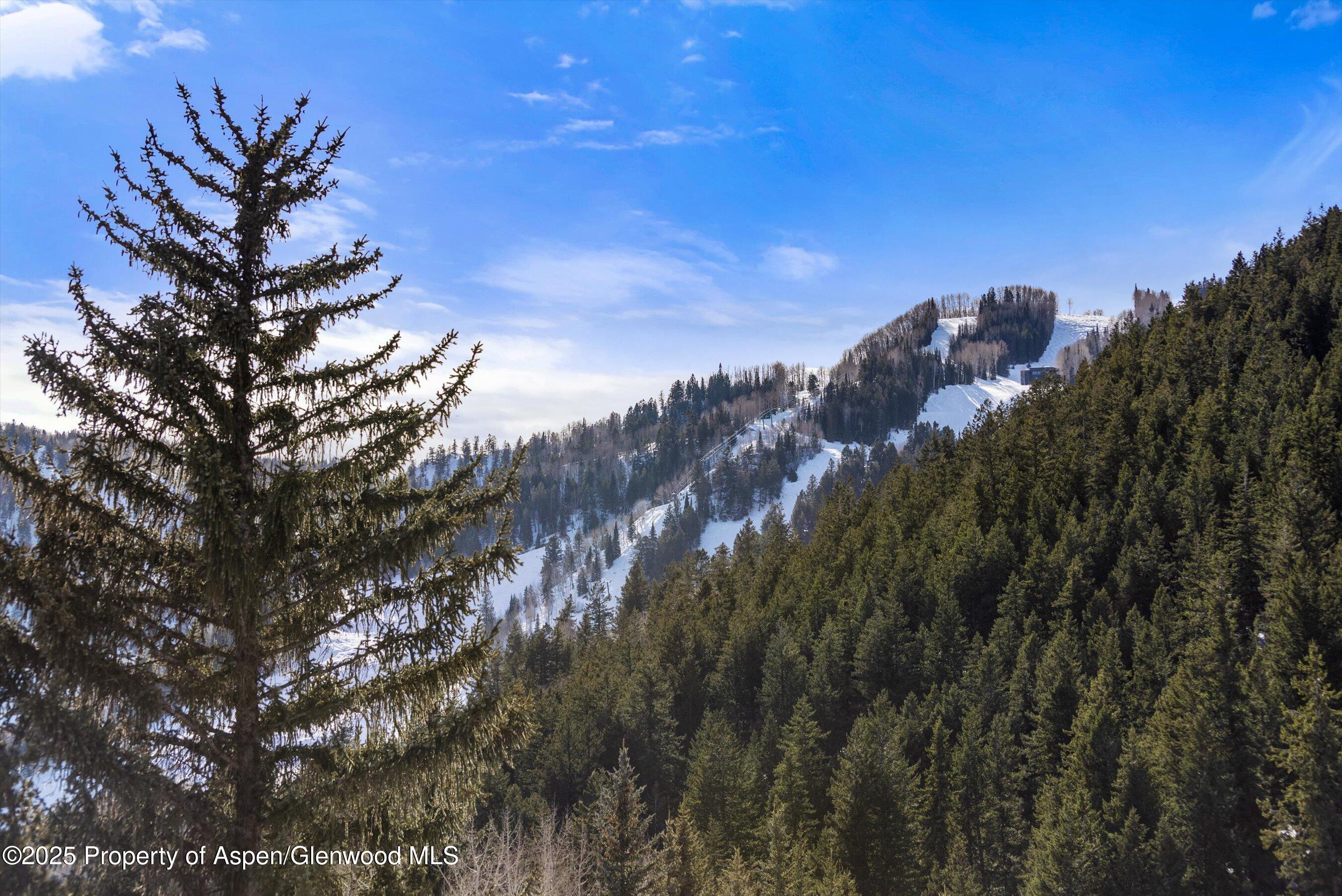 503 W Main Street Aspen CO 81611