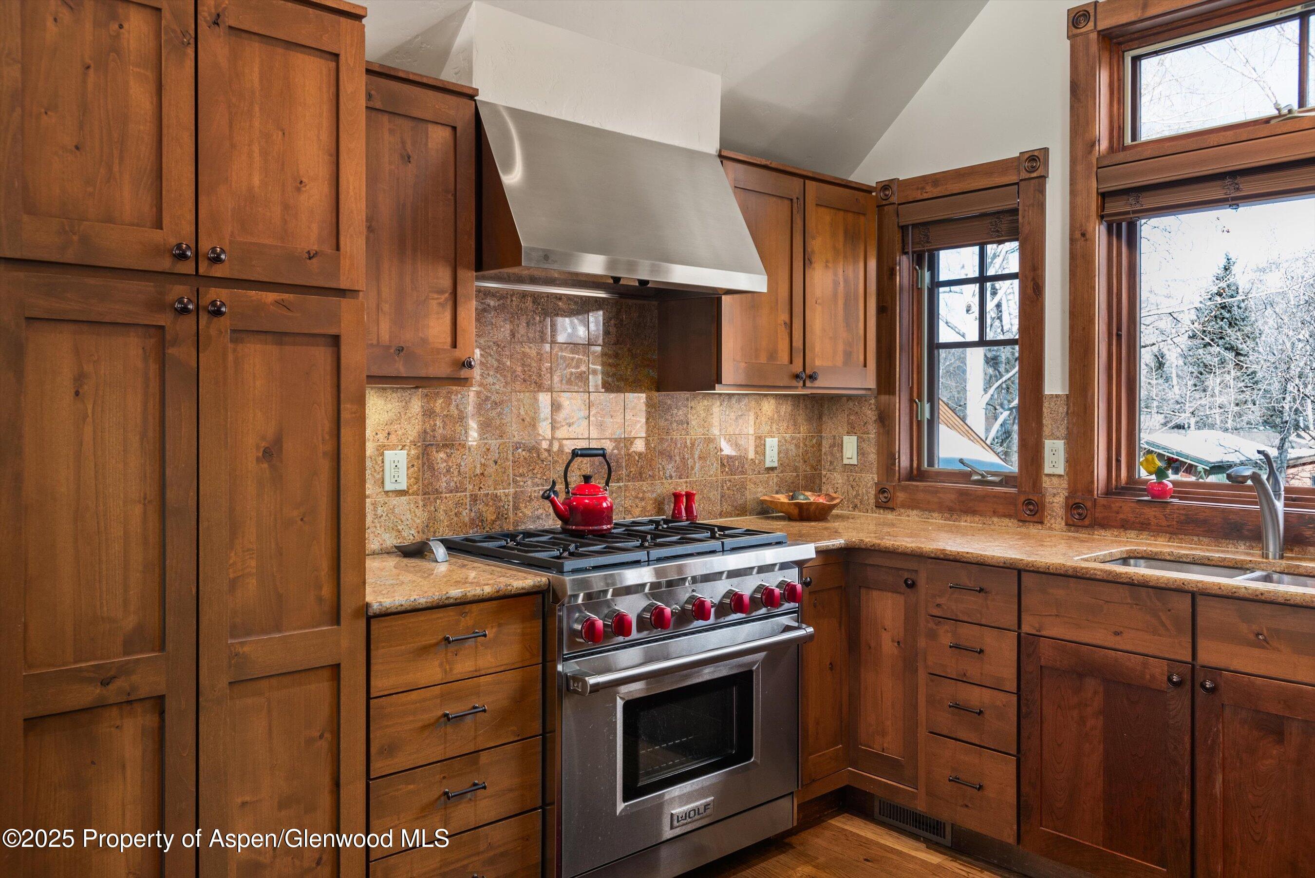 503 W Main Street Aspen CO 81611