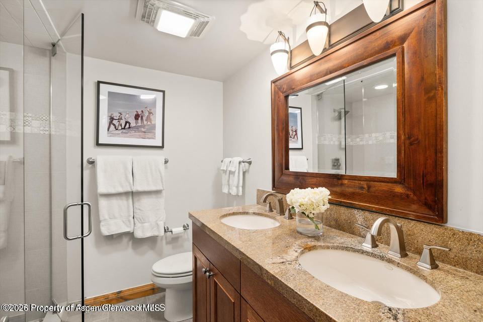 1039 E Cooper Avenue Aspen CO 81611