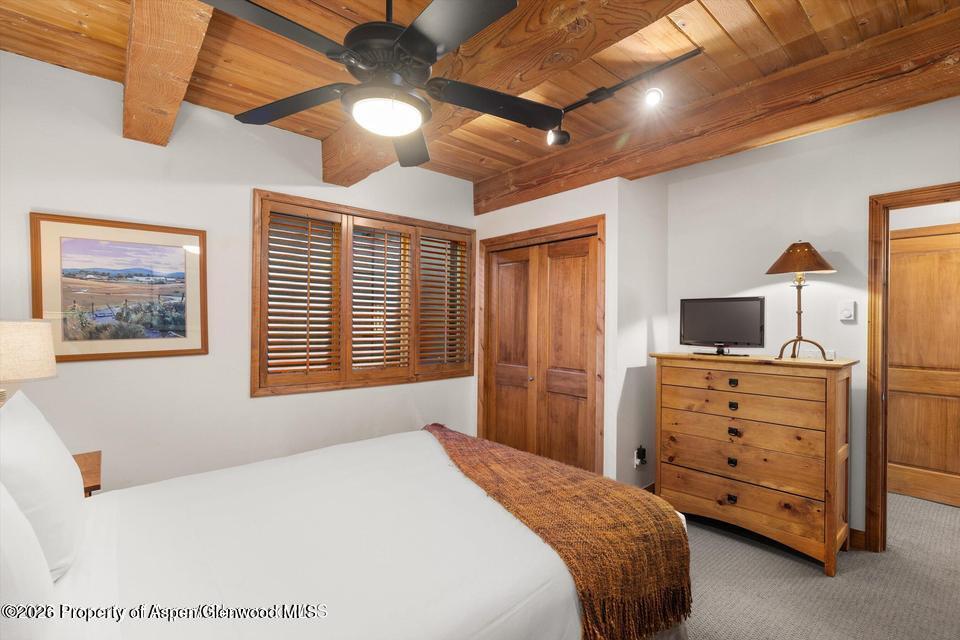 1039 E Cooper Avenue Aspen CO 81611