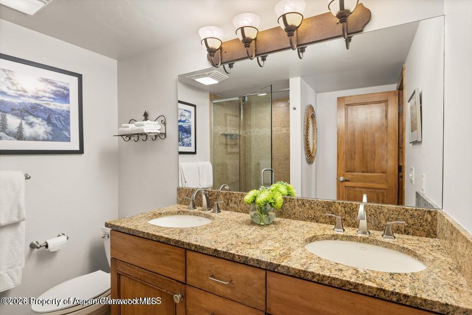 1039 E Cooper Avenue Aspen CO 81611