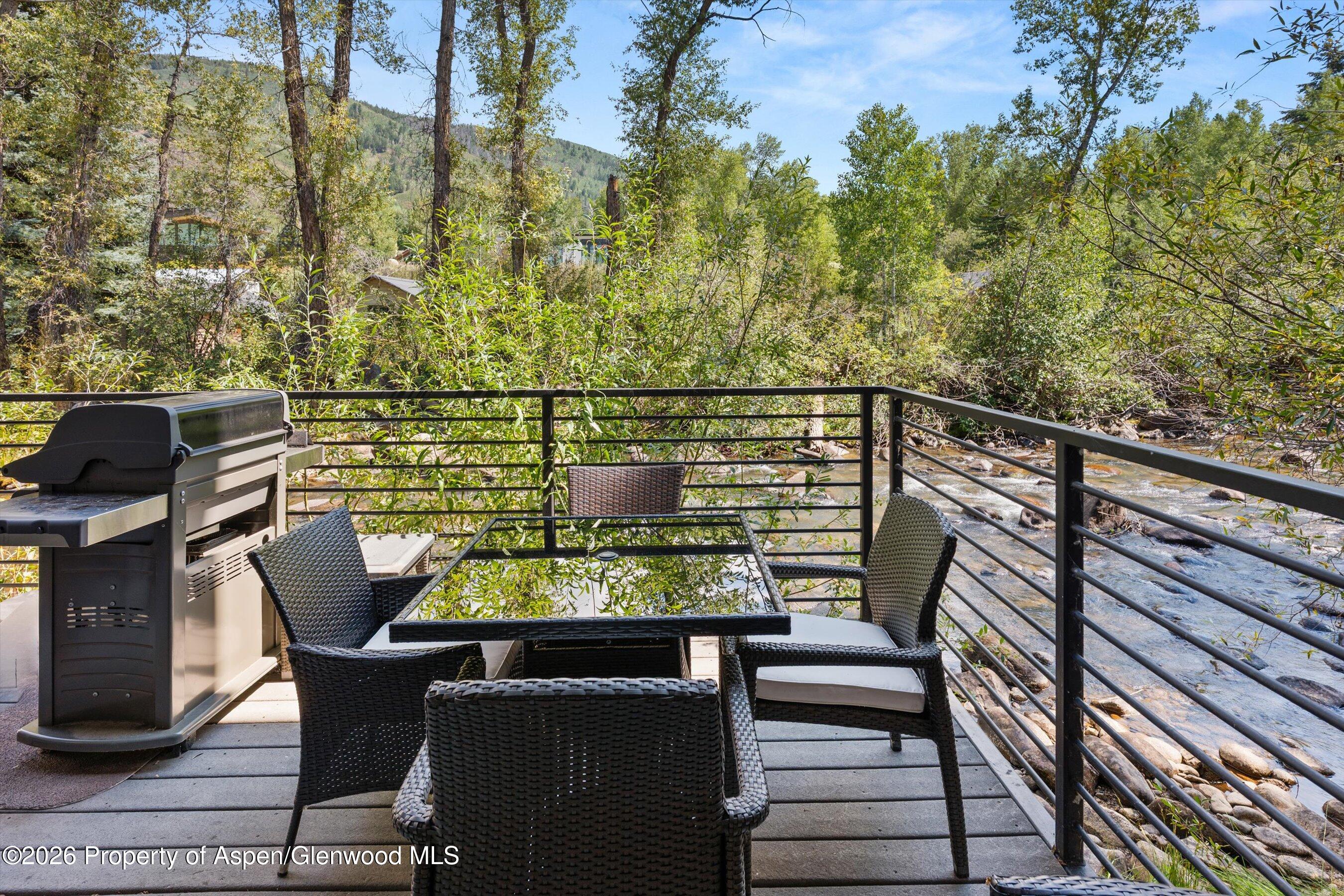 1039 E Cooper Avenue Aspen CO 81611