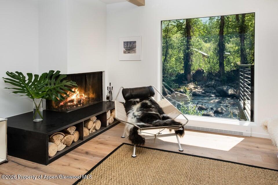 1039 E Cooper Avenue Aspen CO 81611