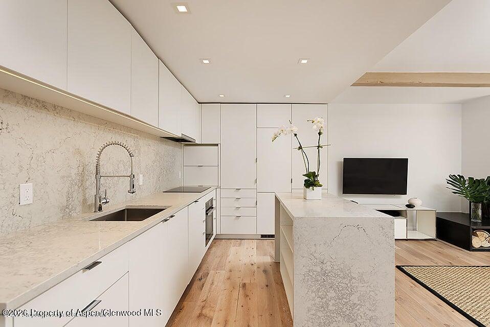 1039 E Cooper Avenue Aspen CO 81611