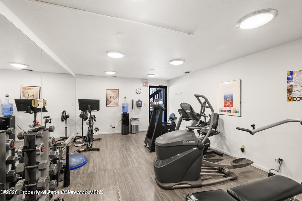 1039 E Cooper Avenue Aspen CO 81611