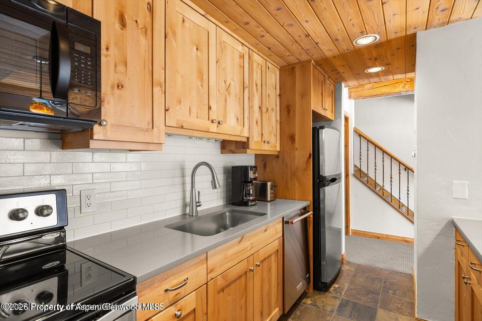 1039 E Cooper Avenue Aspen CO 81611