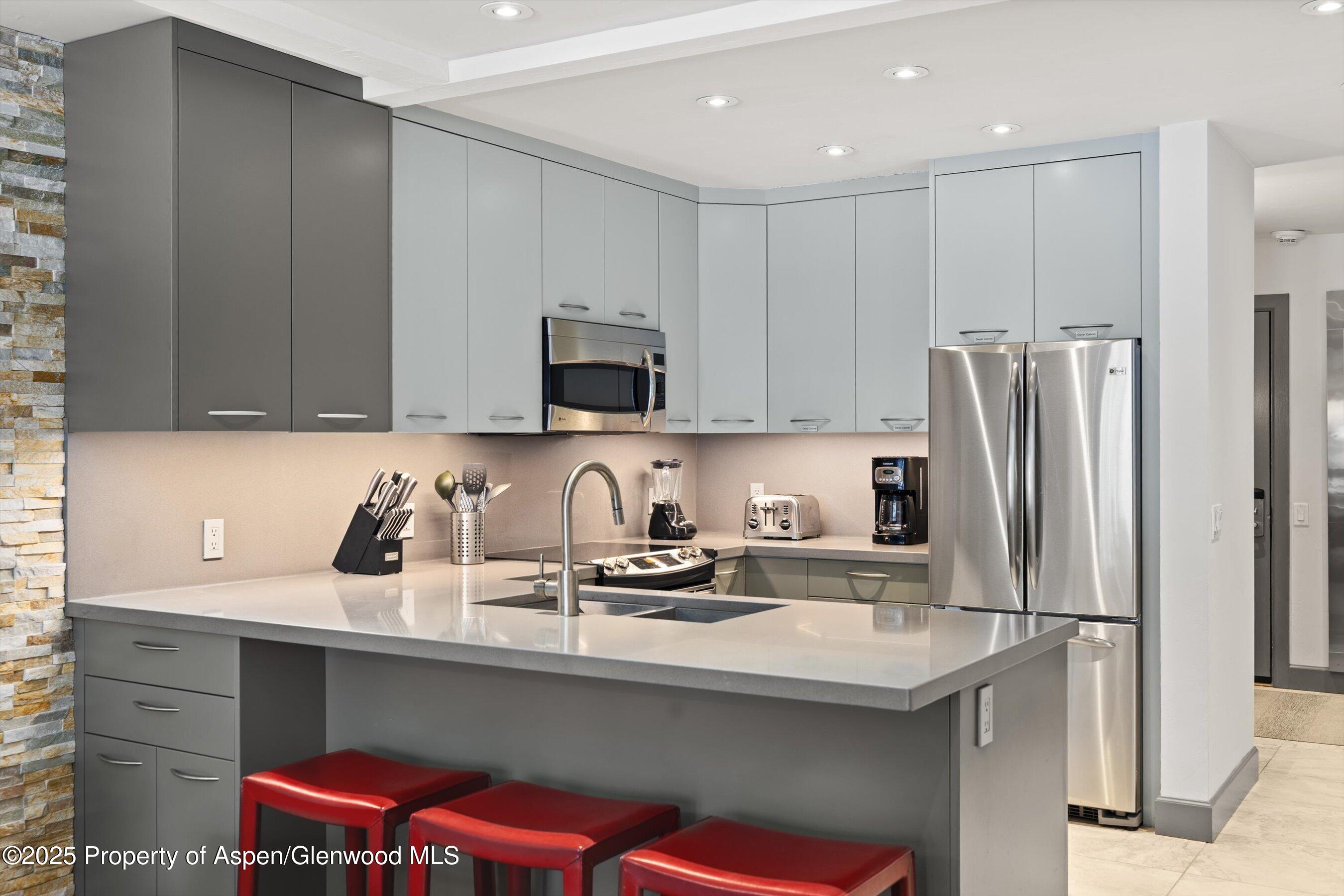 610 S West End Street Aspen CO 81611