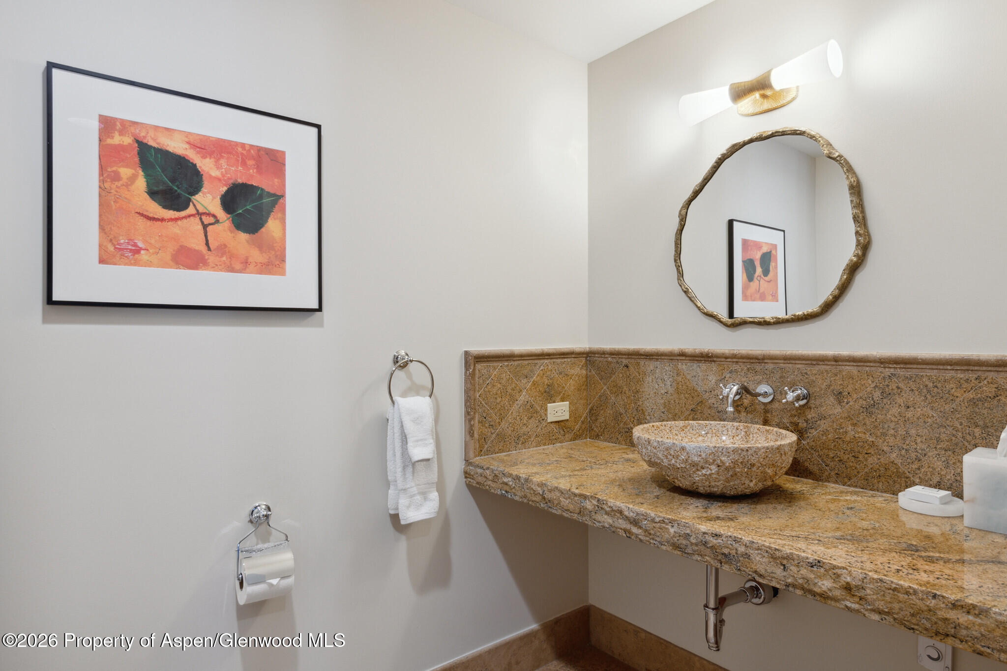 415 E Dean St, Unit 29, Week 5 Aspen CO 81611