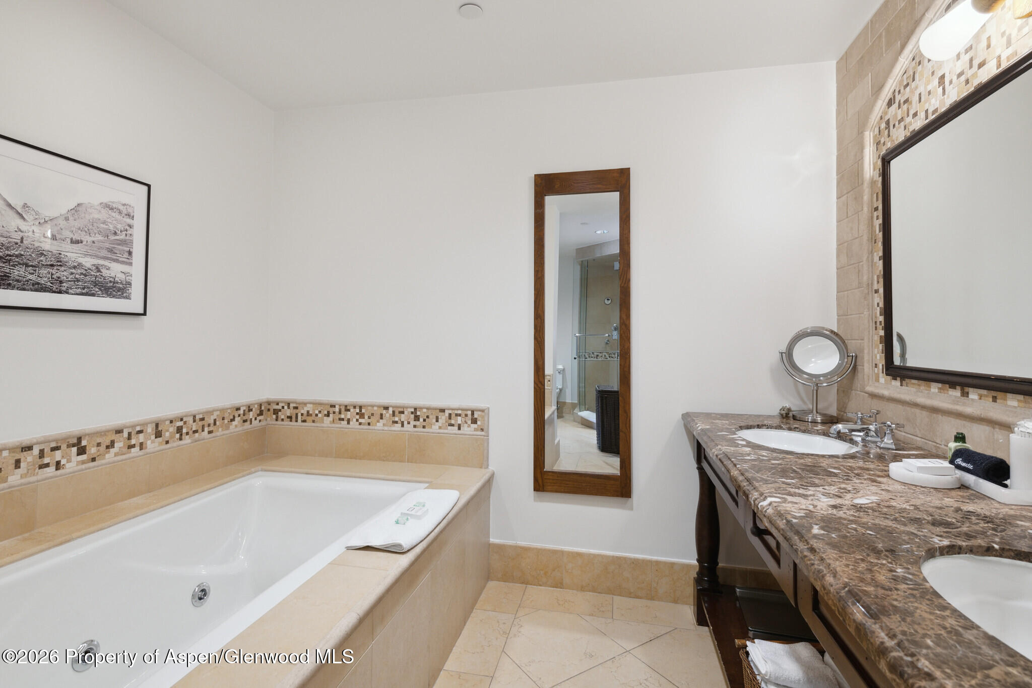 415 E Dean St, Unit 29, Week 5 Aspen CO 81611