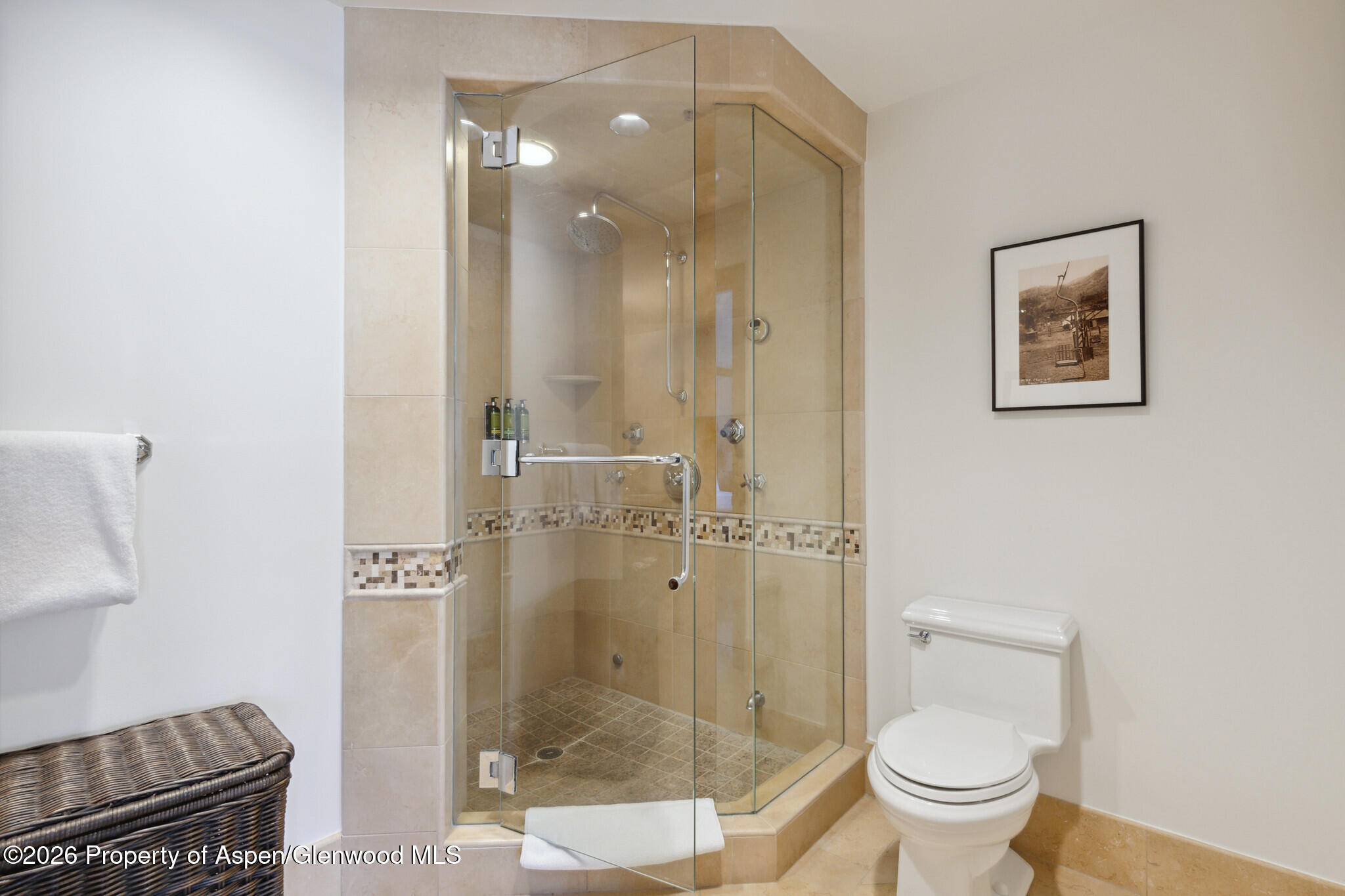 415 E Dean St, Unit 29, Week 5 Aspen CO 81611