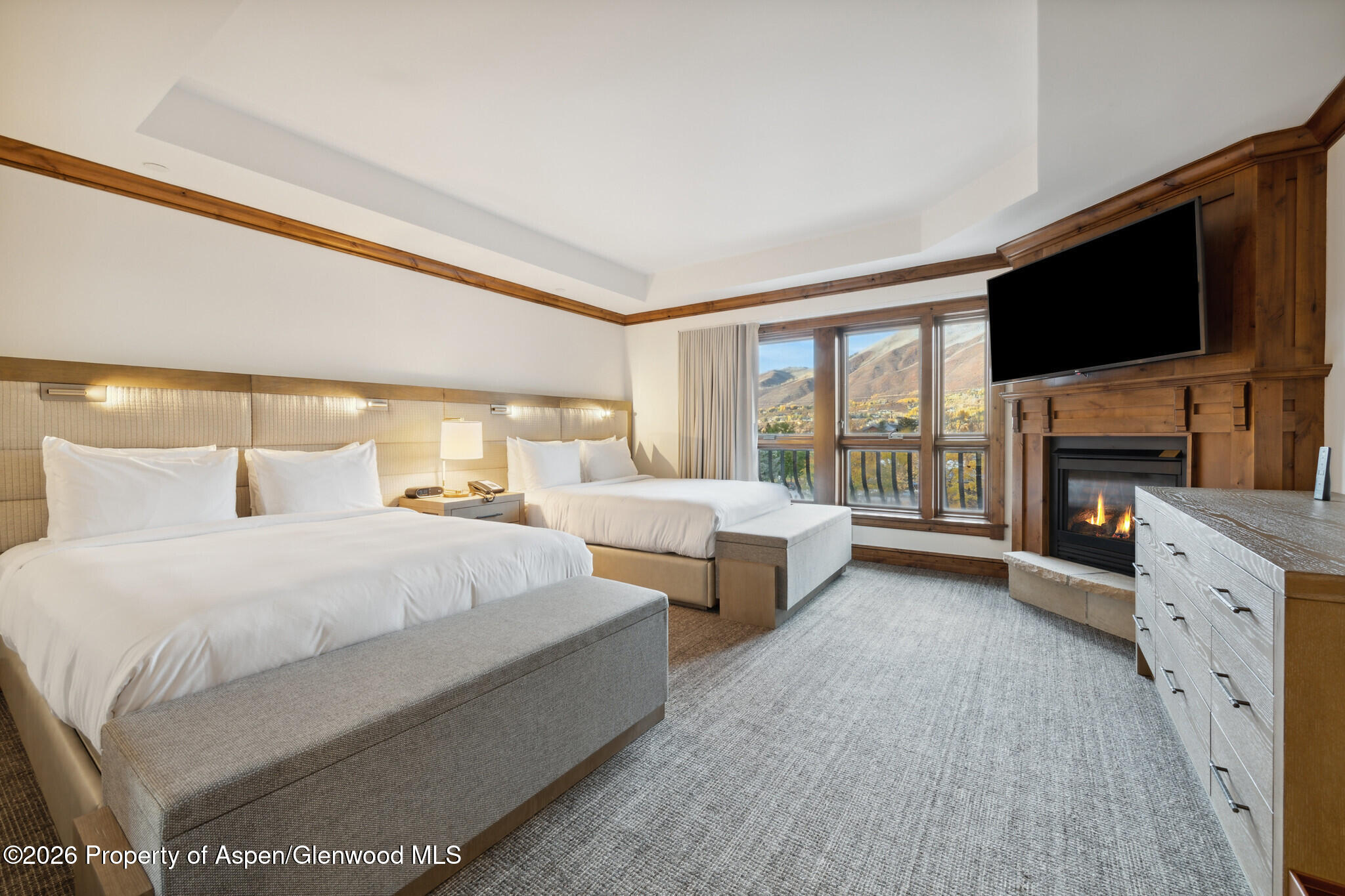 415 E Dean St, Unit 29, Week 5 Aspen CO 81611