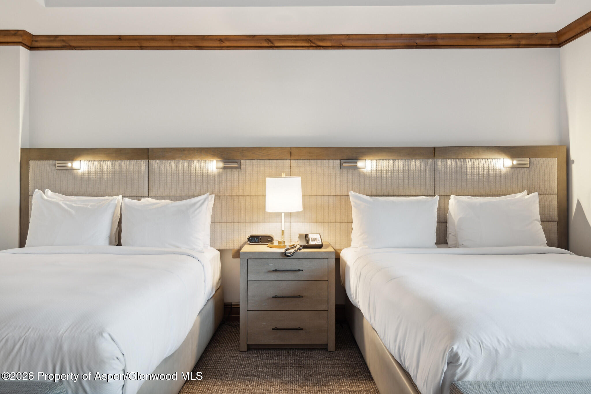 415 E Dean St, Unit 29, Week 5 Aspen CO 81611