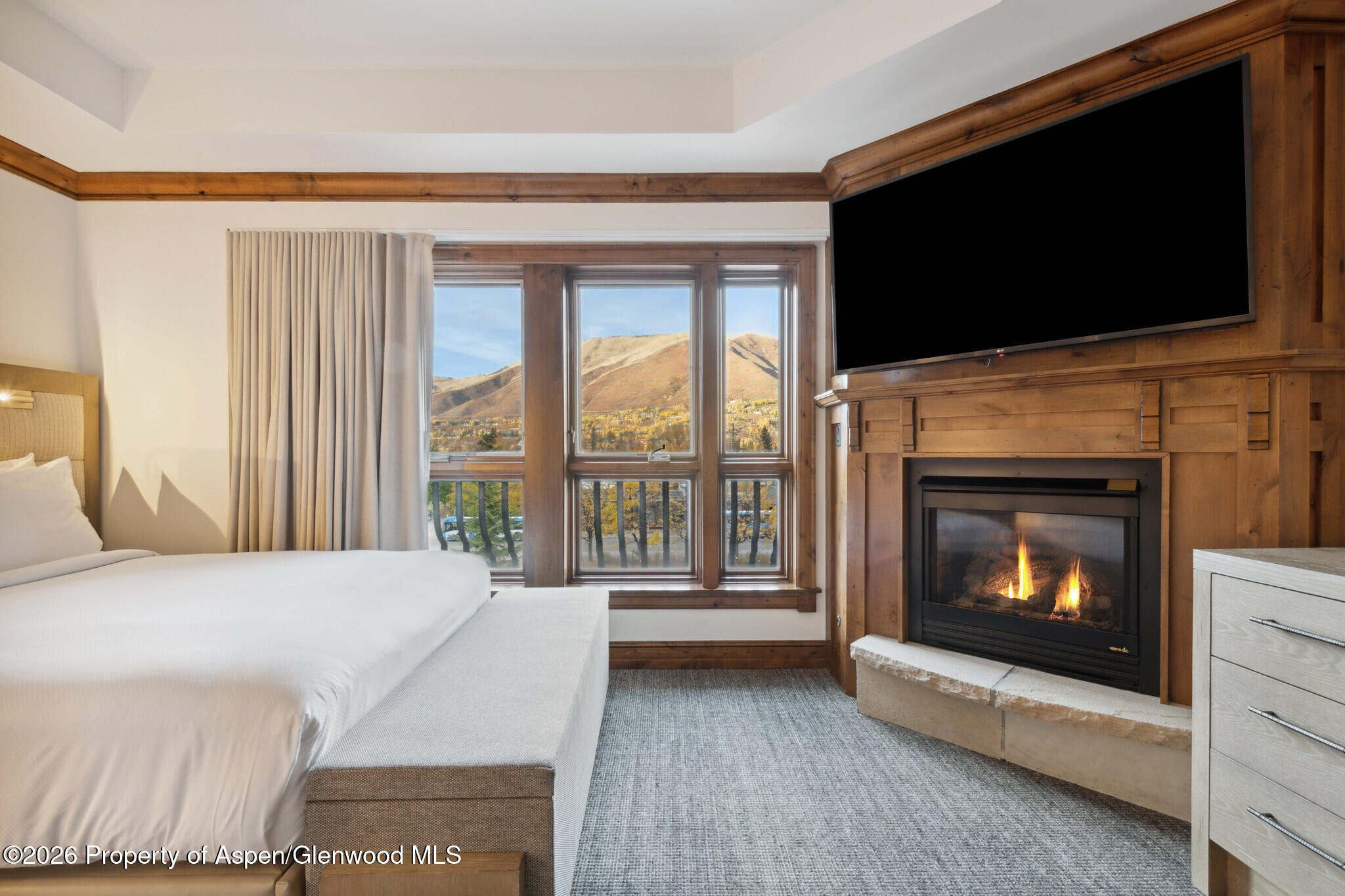 415 E Dean St, Unit 29, Week 5 Aspen CO 81611