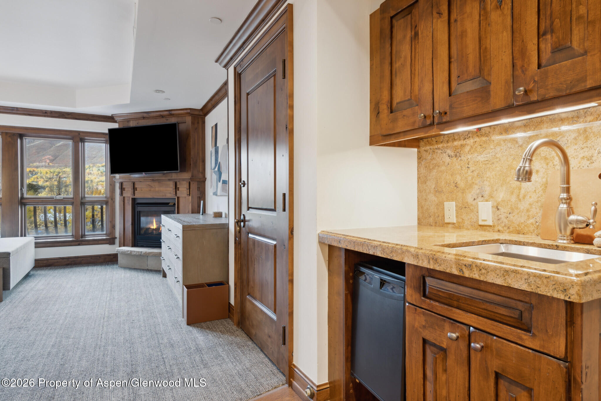 415 E Dean St, Unit 29, Week 5 Aspen CO 81611