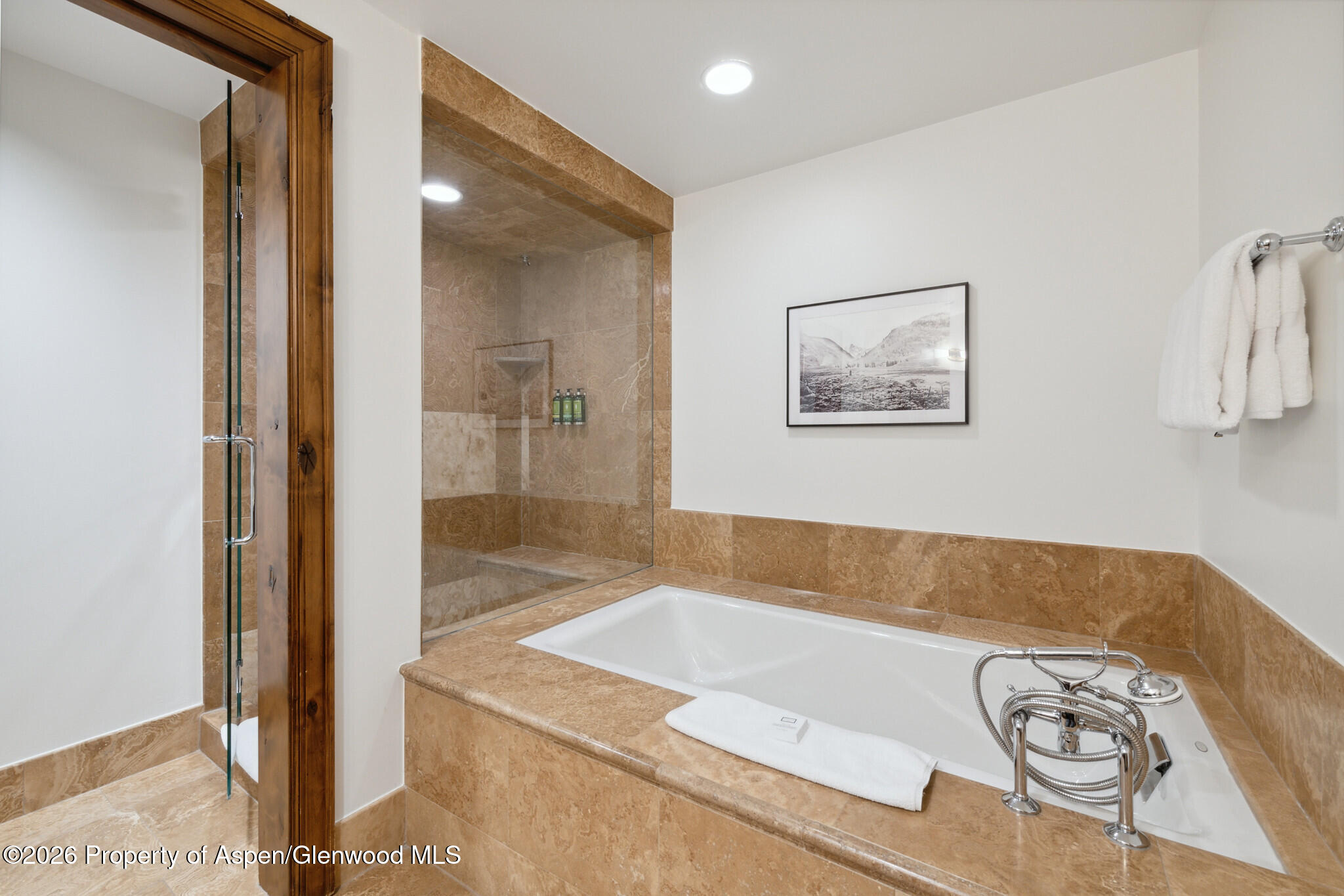 415 E Dean St, Unit 29, Week 5 Aspen CO 81611