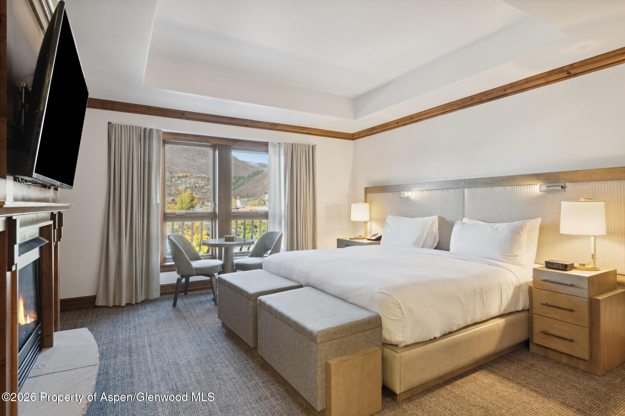 415 E Dean St, Unit 29, Week 5 Aspen CO 81611