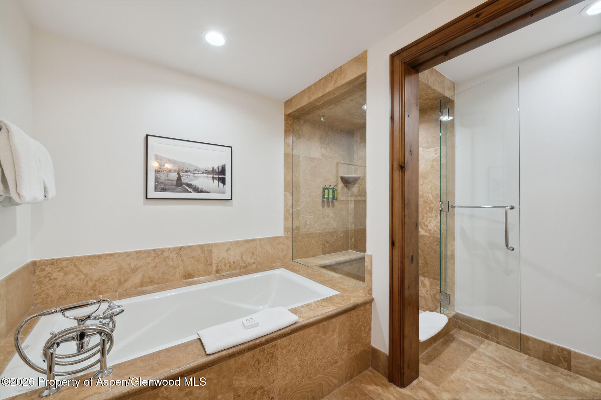 415 E Dean St, Unit 29, Week 5 Aspen CO 81611