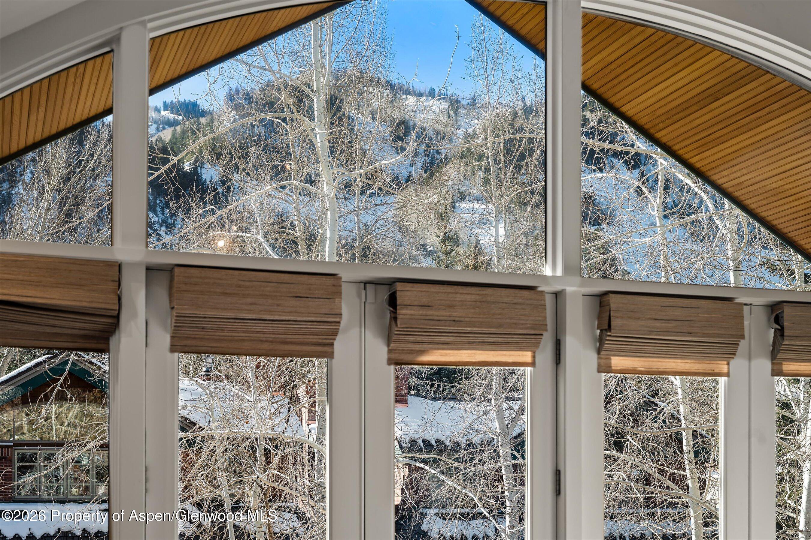 825 E Cooper Avenue Aspen CO 81611
