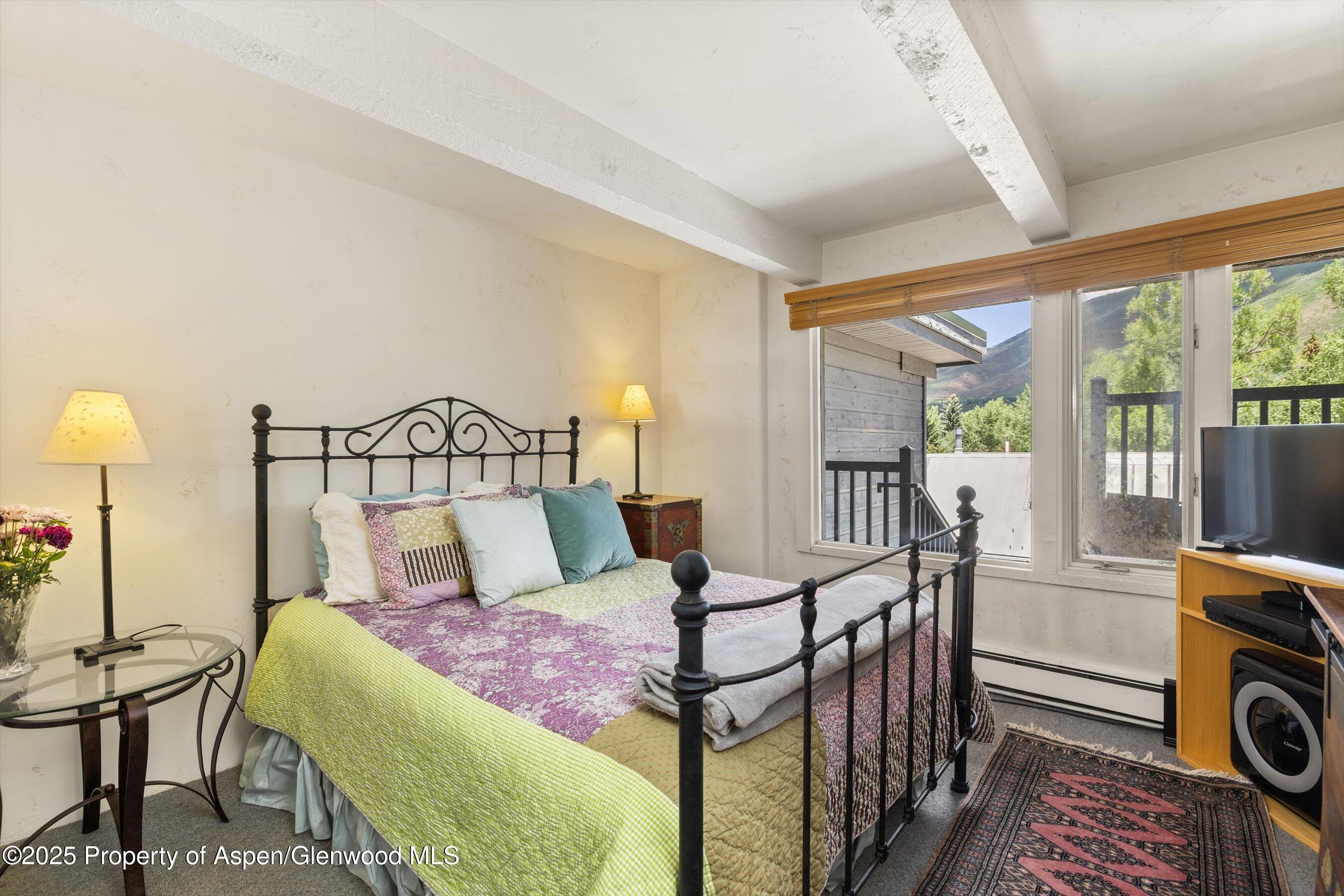 124 W Hyman Avenue Aspen CO 81611