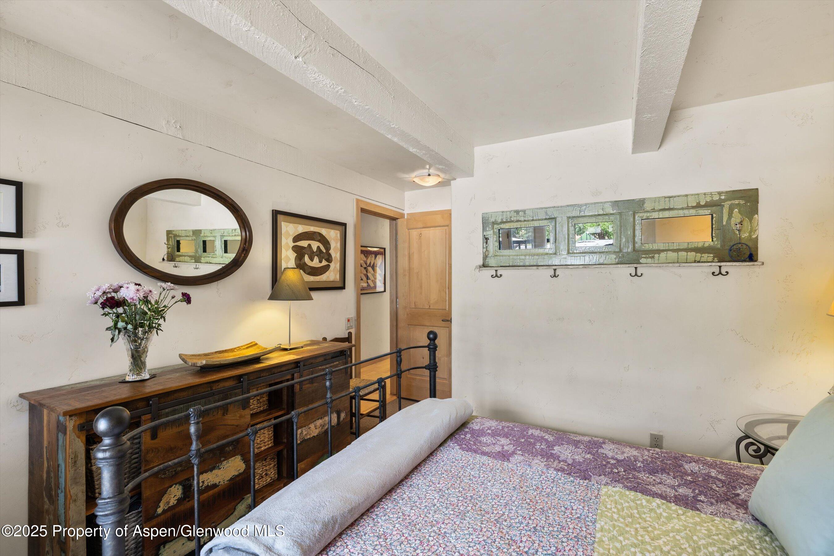 124 W Hyman Avenue Aspen CO 81611