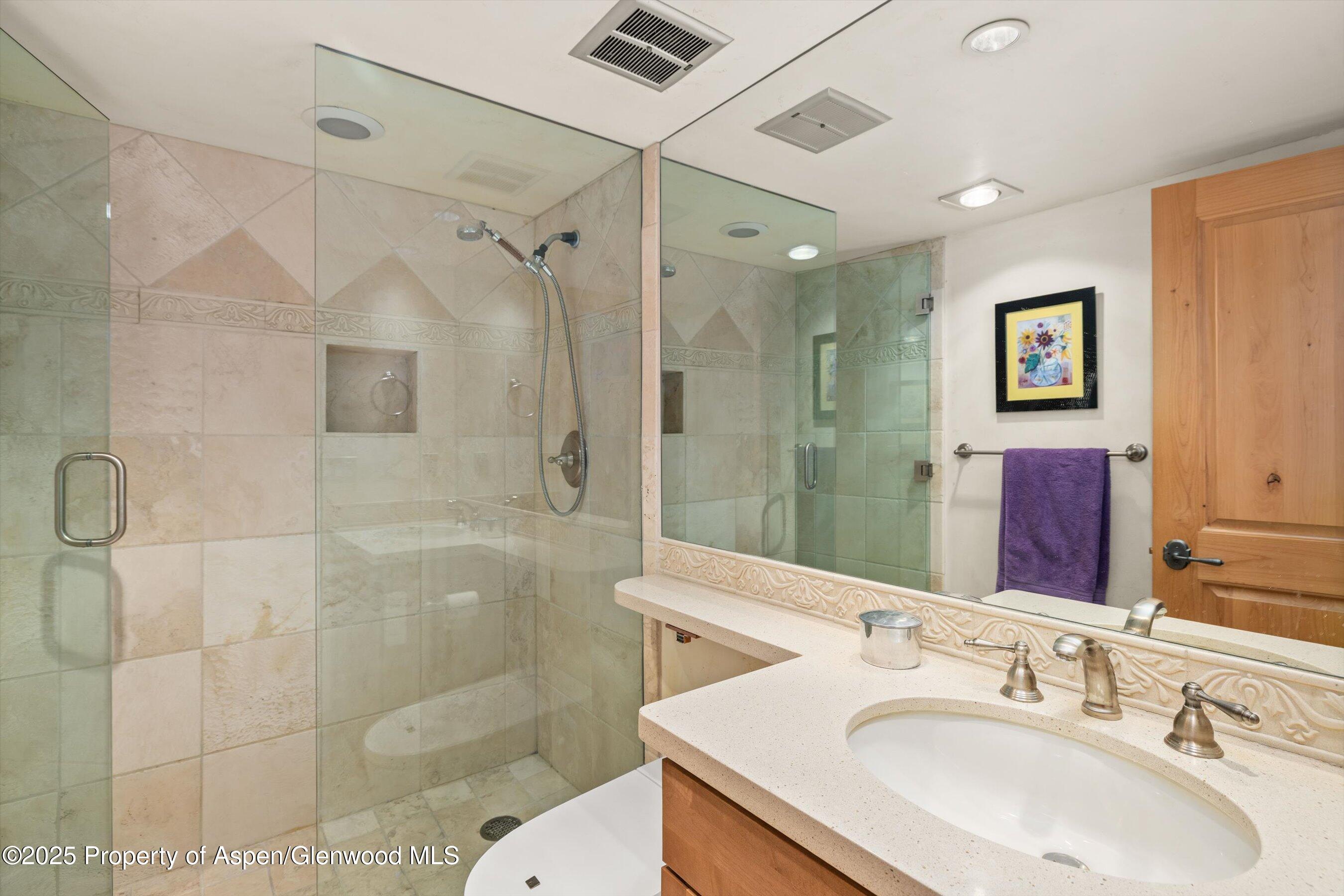 124 W Hyman Avenue Aspen CO 81611