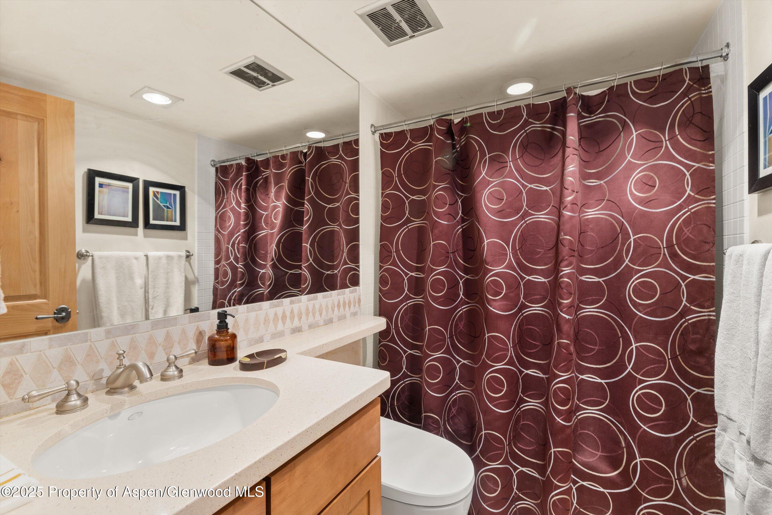 124 W Hyman Avenue Aspen CO 81611