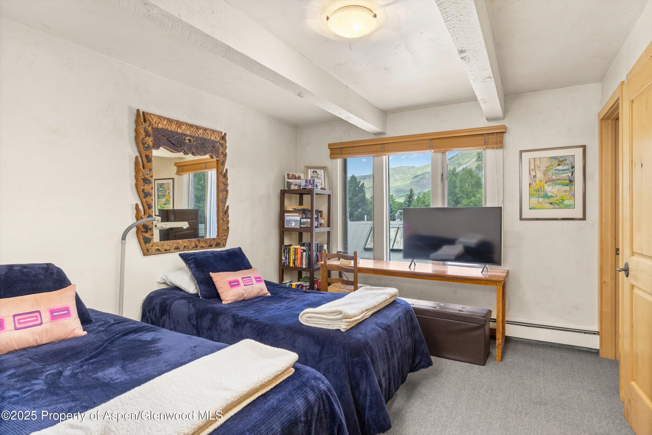 124 W Hyman Avenue Aspen CO 81611