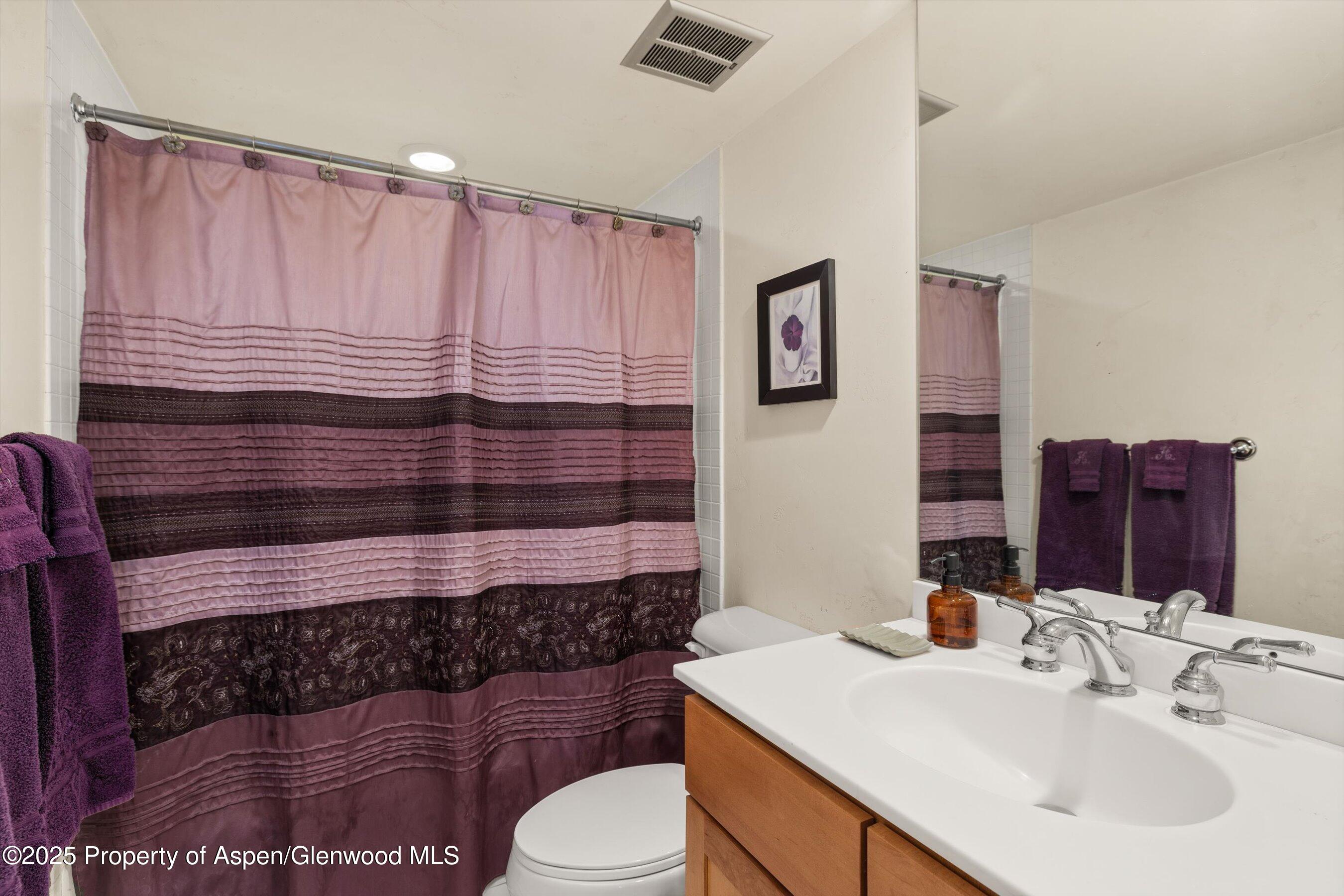 124 W Hyman Avenue Aspen CO 81611