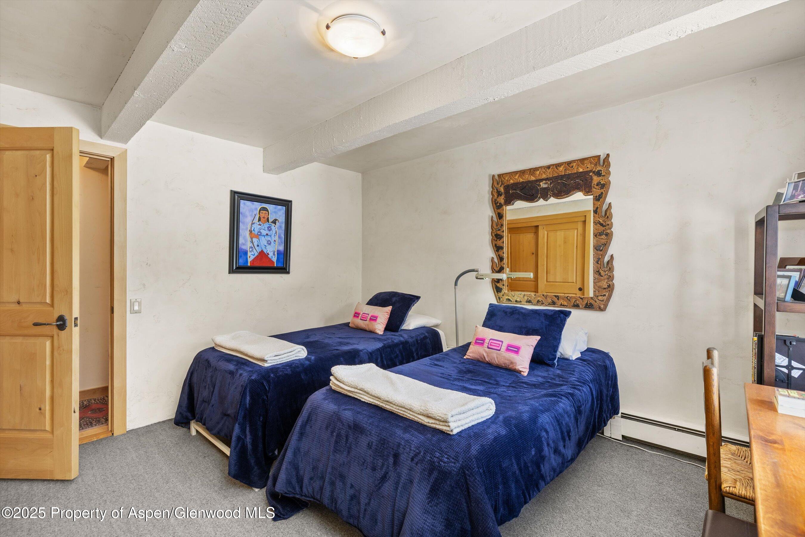 124 W Hyman Avenue Aspen CO 81611