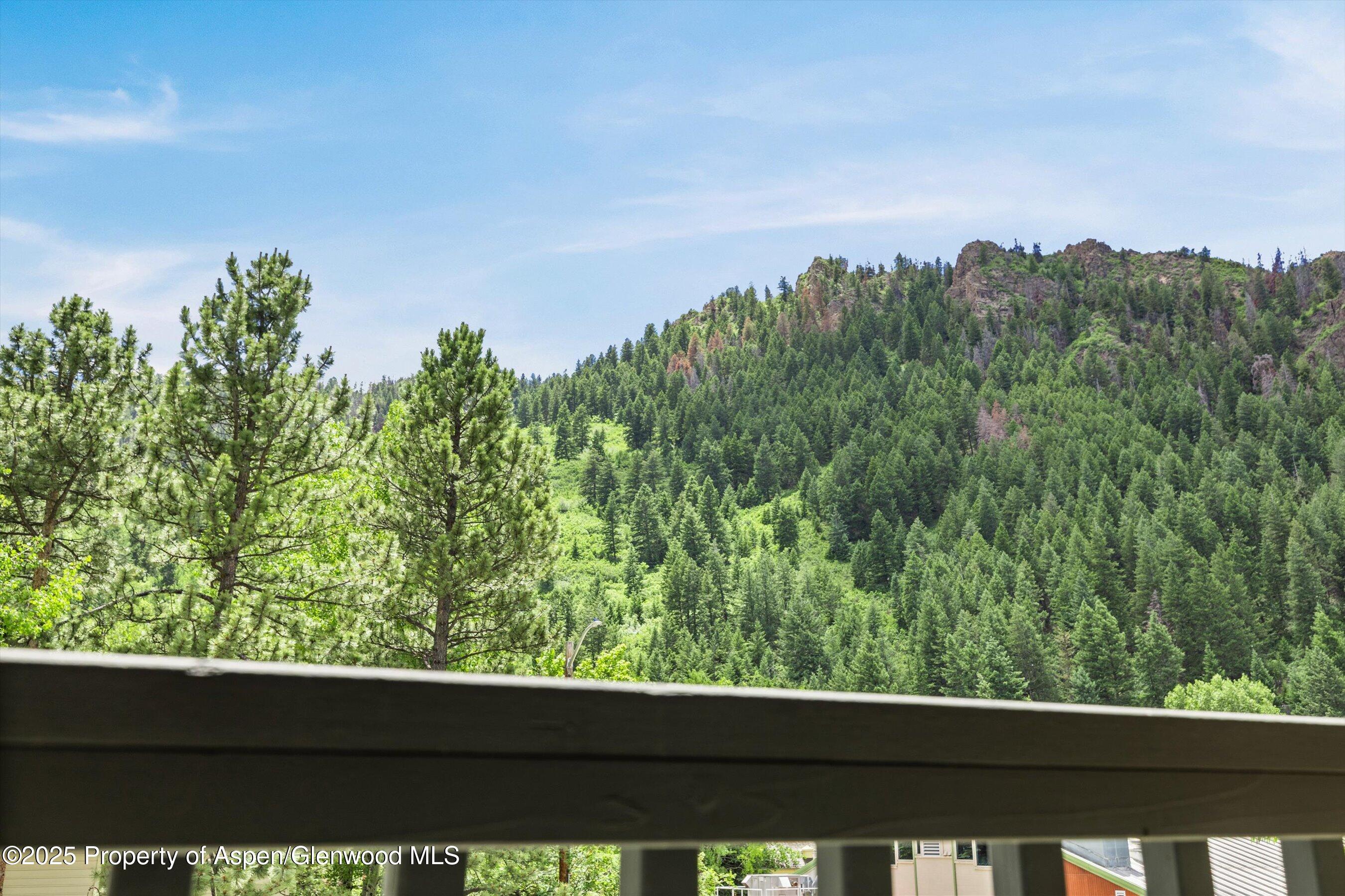 124 W Hyman Avenue Aspen CO 81611