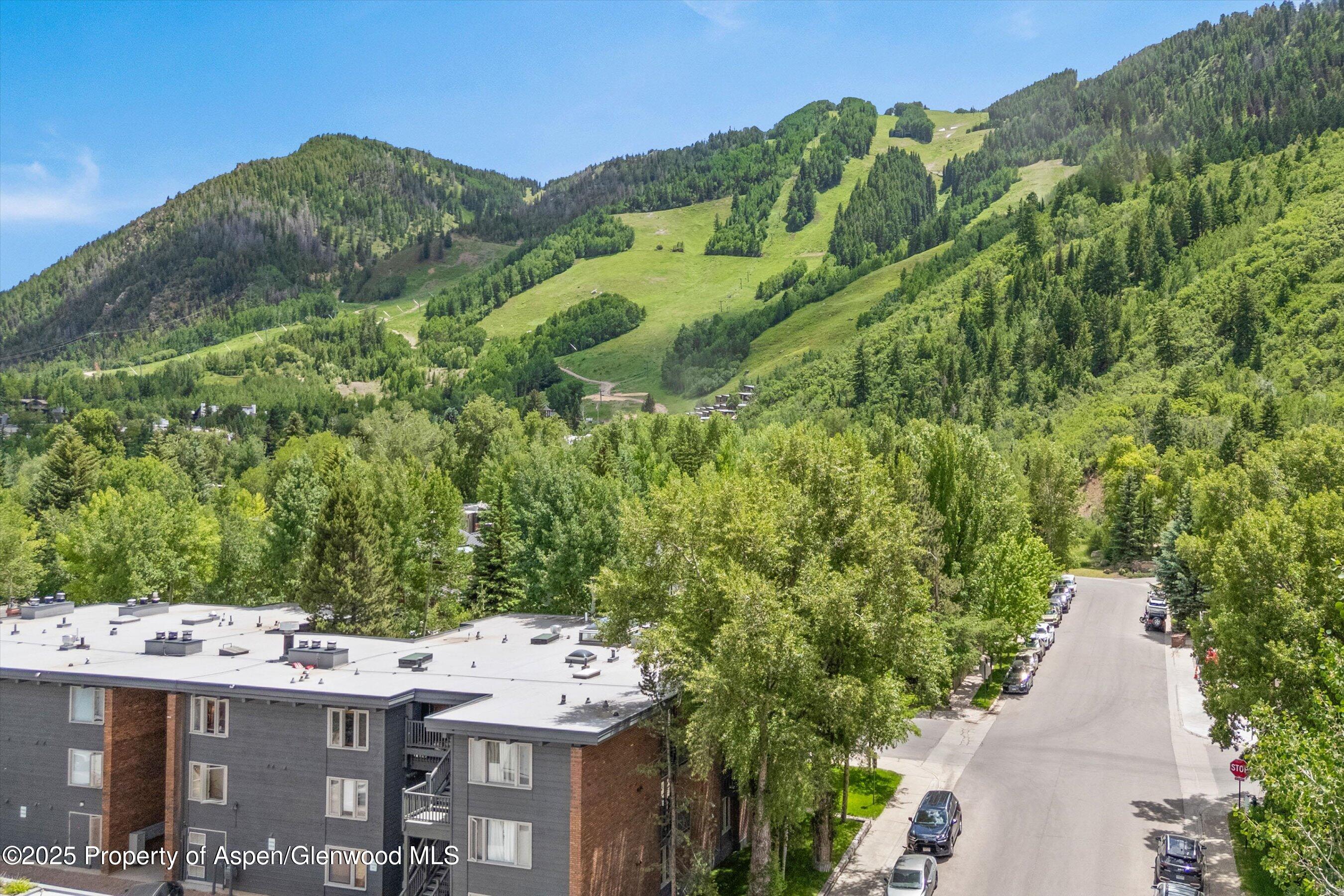 124 W Hyman Avenue Aspen CO 81611