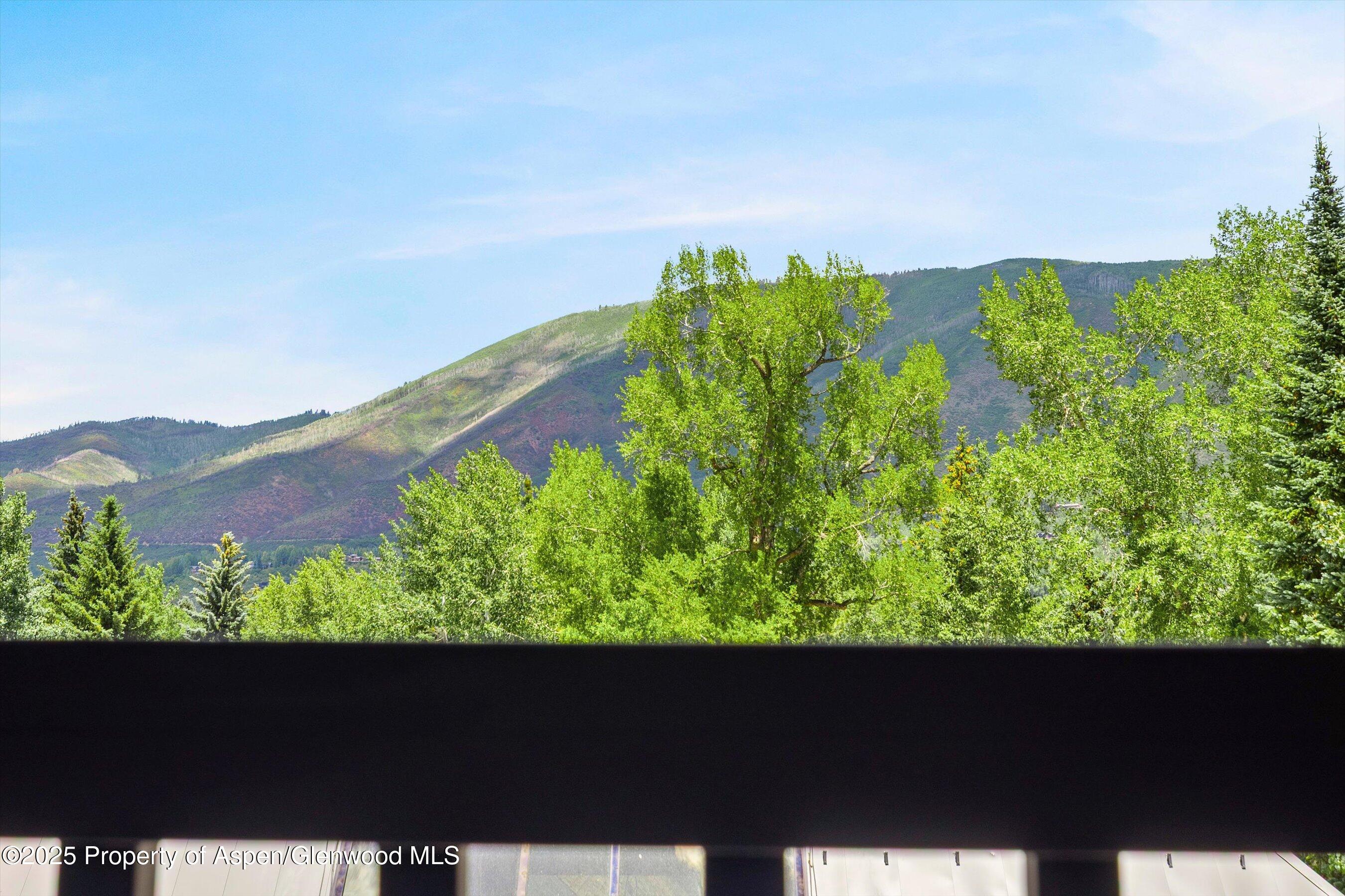 124 W Hyman Avenue Aspen CO 81611