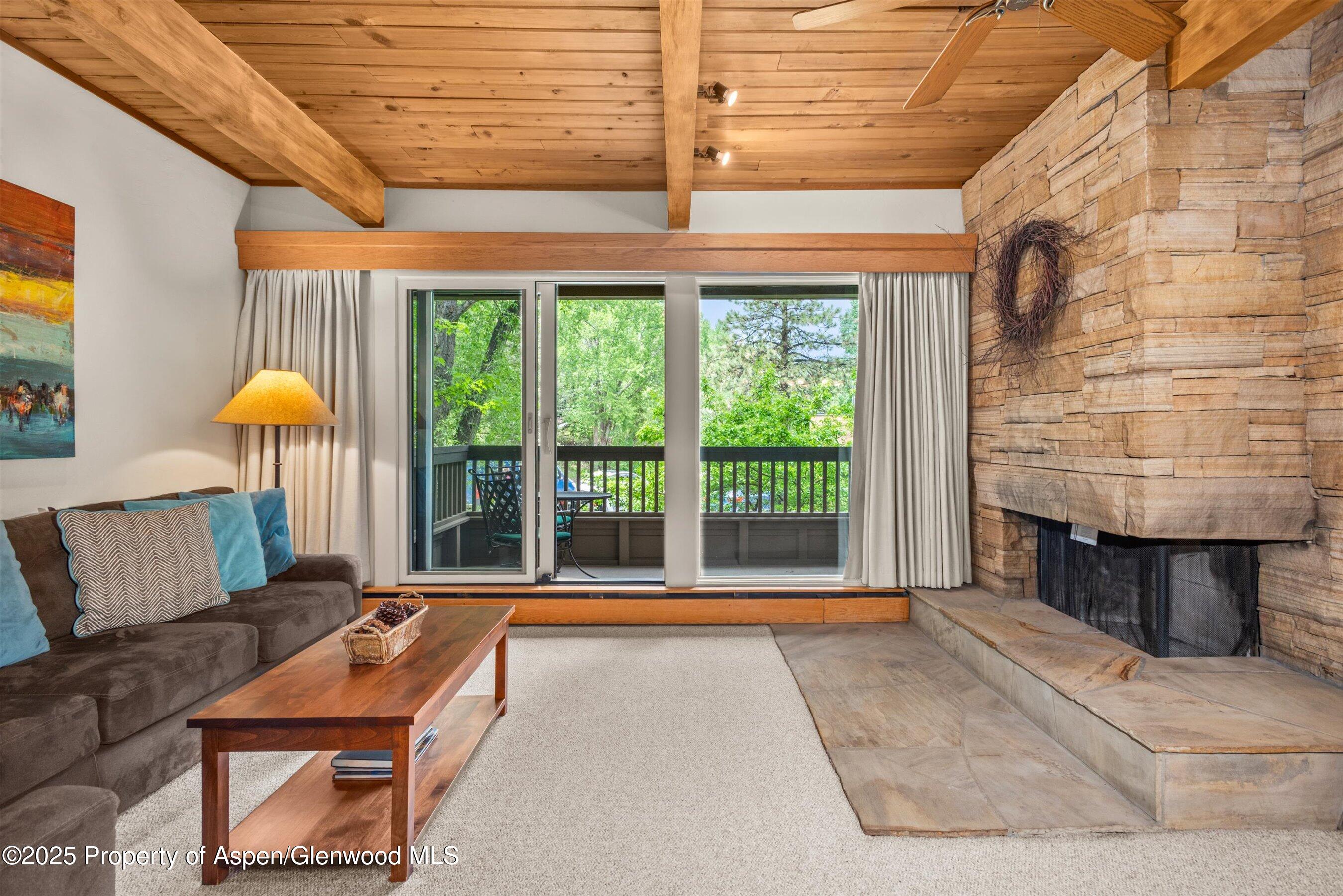 610 S West End Street Aspen CO 81611