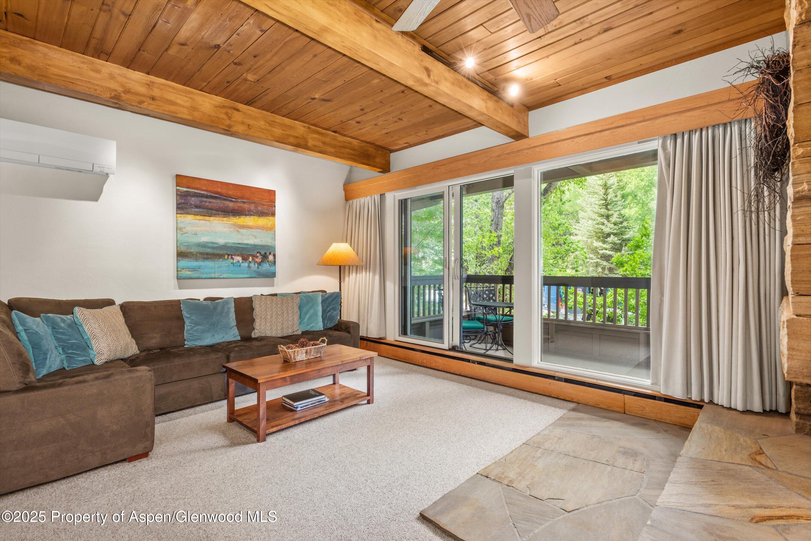 610 S West End Street Aspen CO 81611