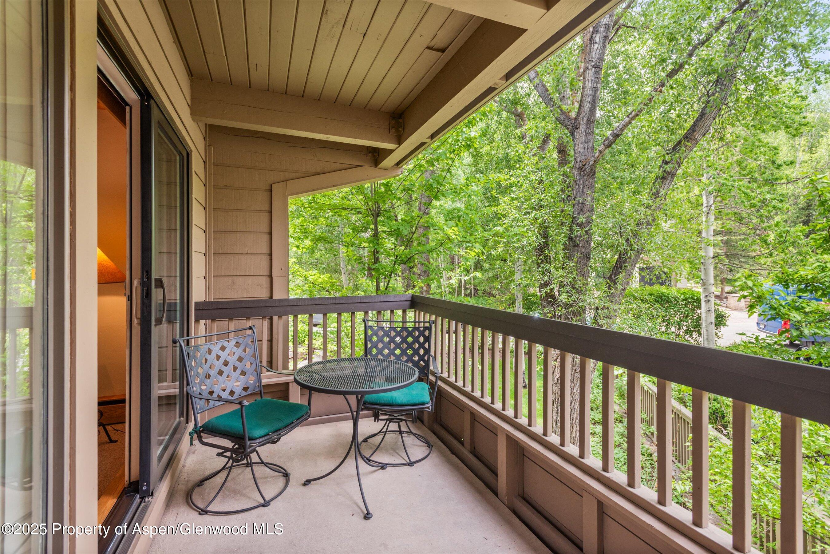 610 S West End Street Aspen CO 81611