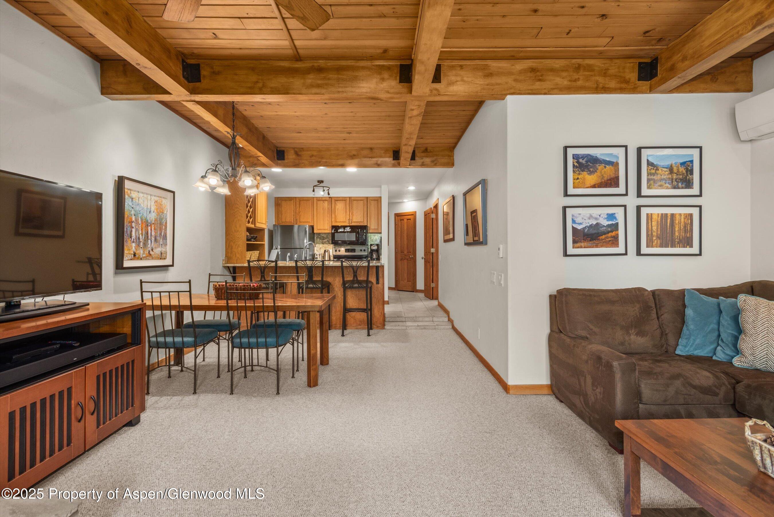 610 S West End Street Aspen CO 81611