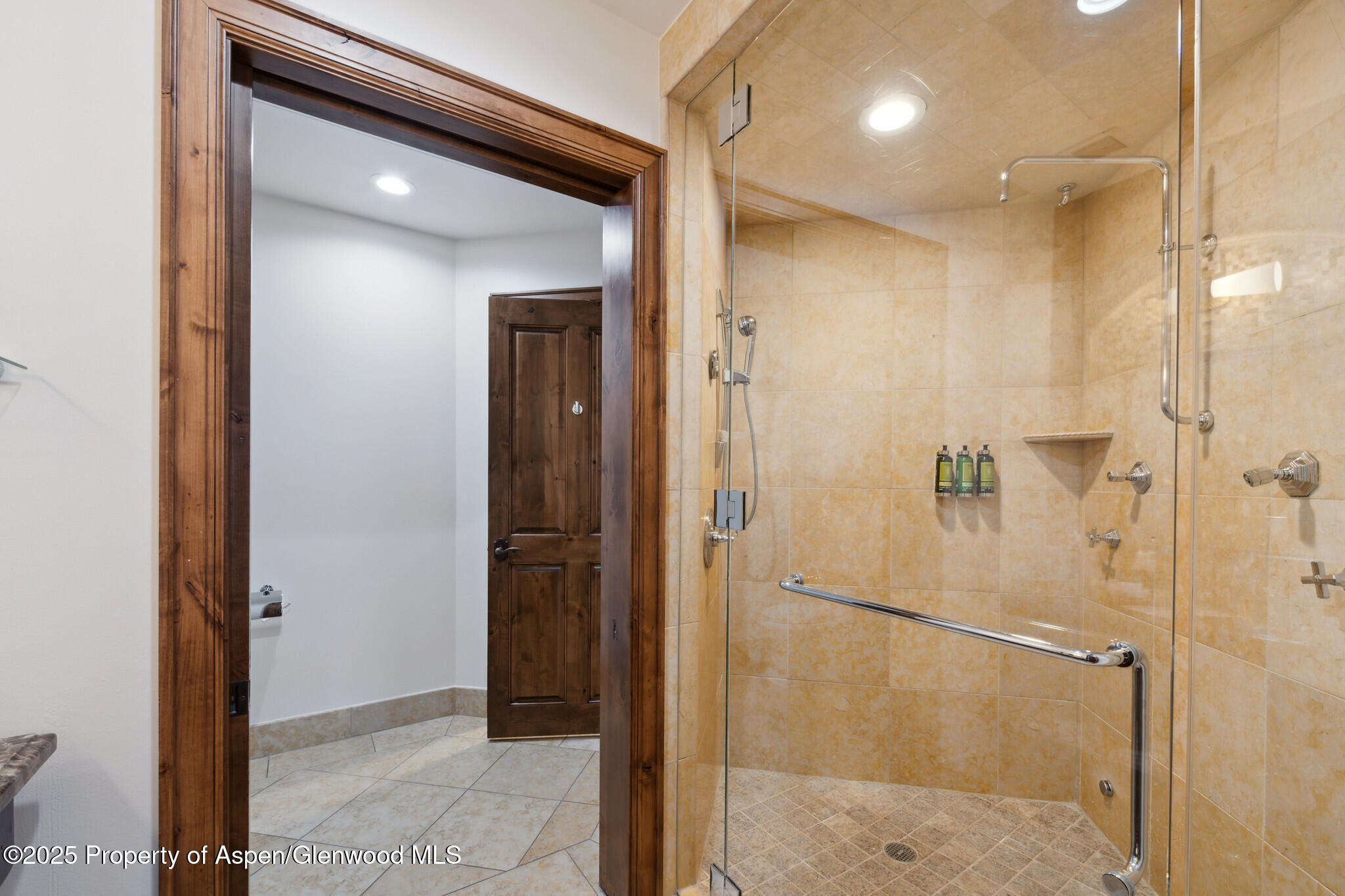 415 E Dean St, Unit 1, Week 29 Street Aspen CO 81611