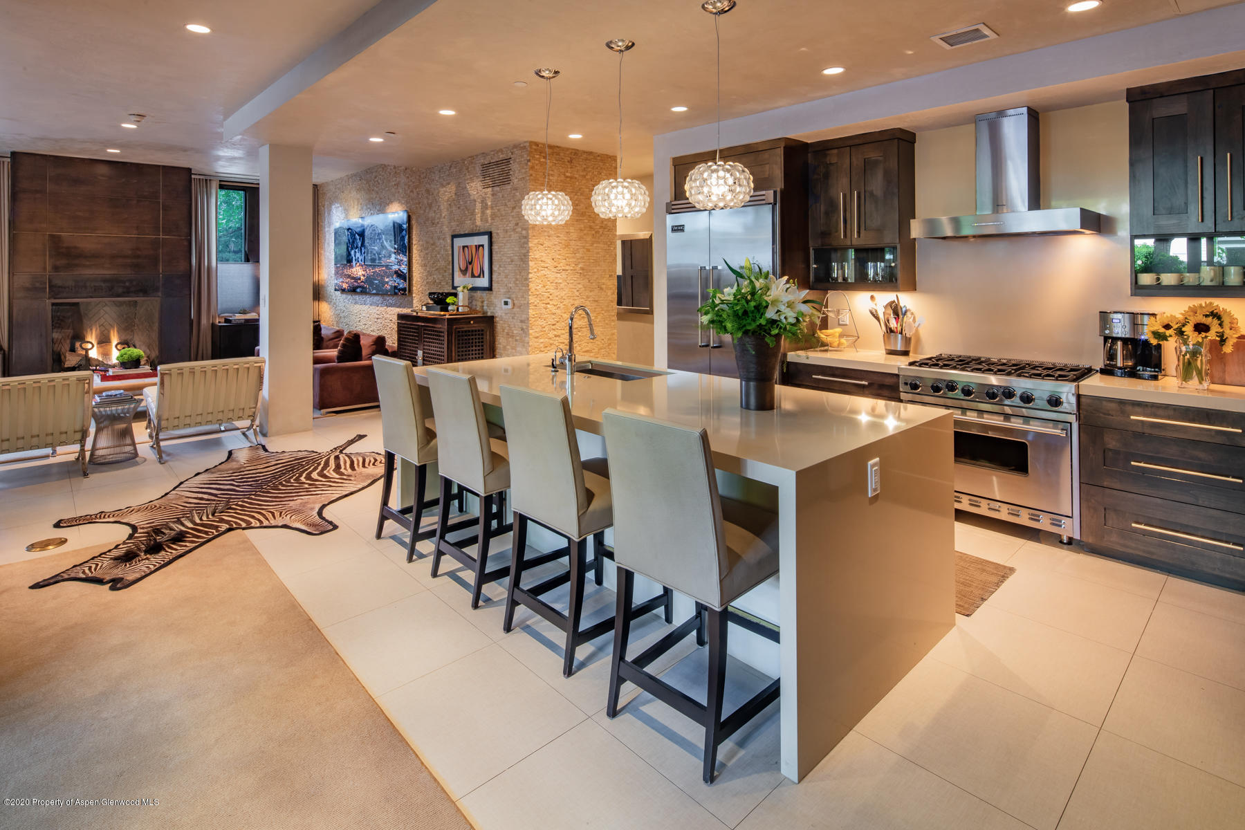 233 E Cooper Avenue Aspen CO 81611