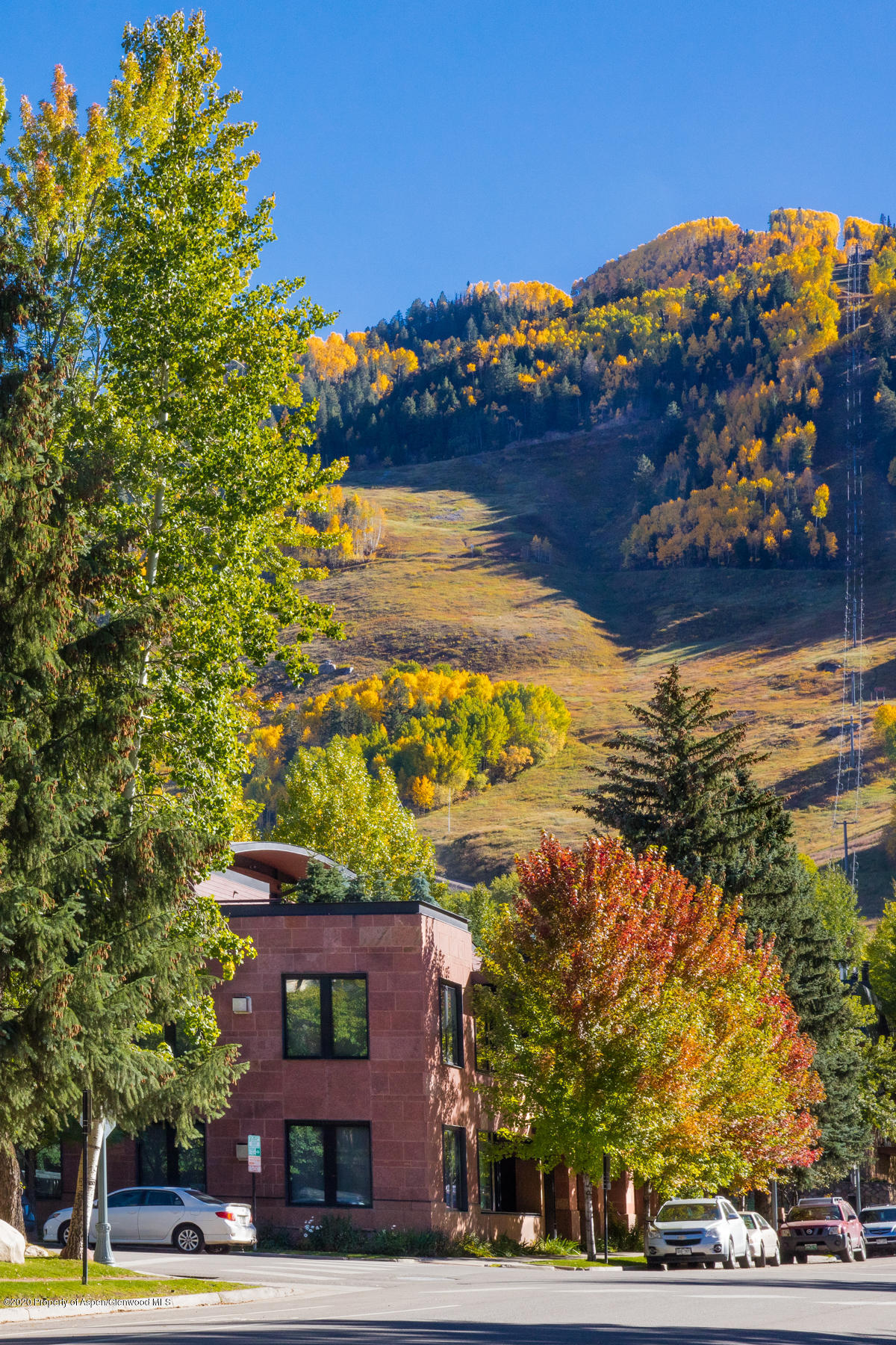 233 E Cooper Avenue Aspen CO 81611