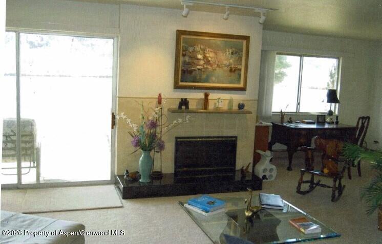 14913 Hwy 82, Unit 108 Carbondale CO 81623