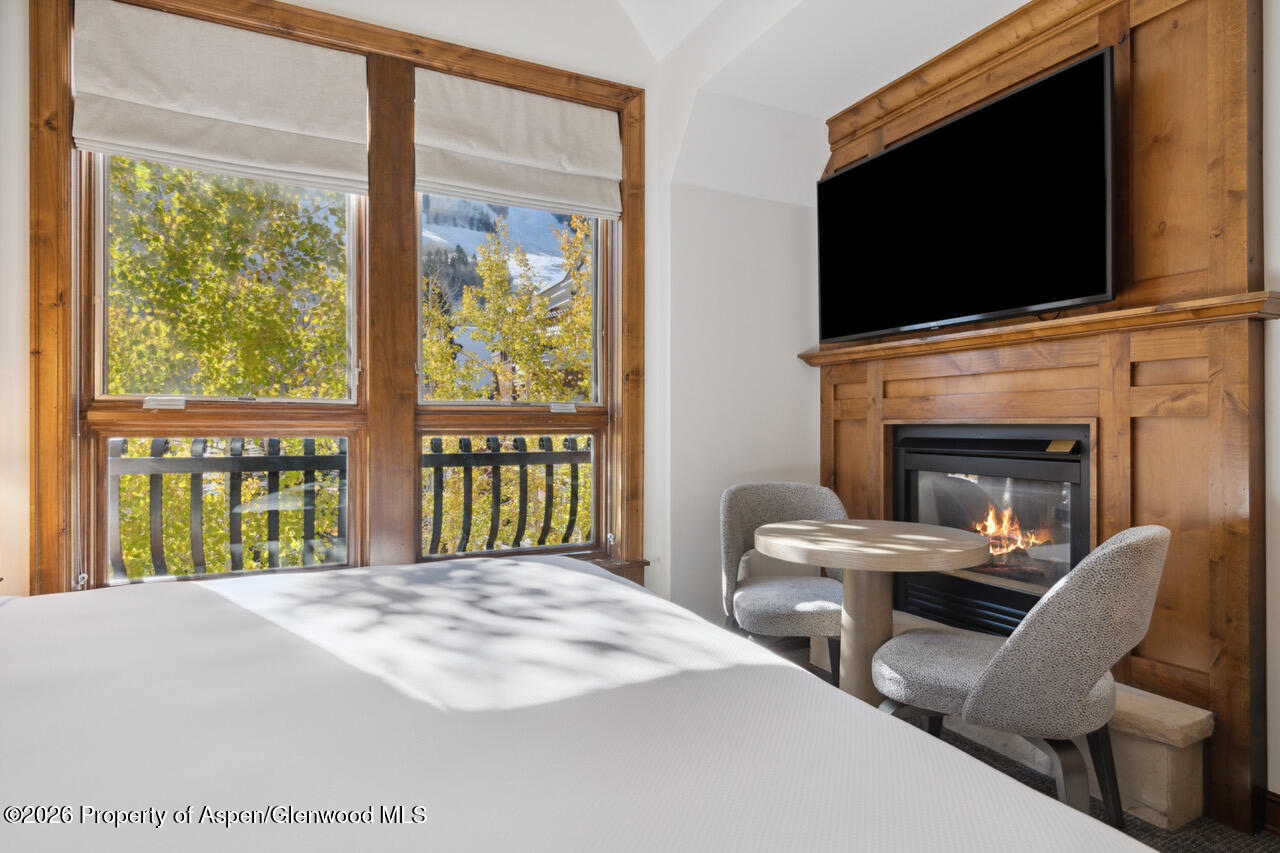 415 E Dean St. #32, Wk 9 Aspen CO 81611
