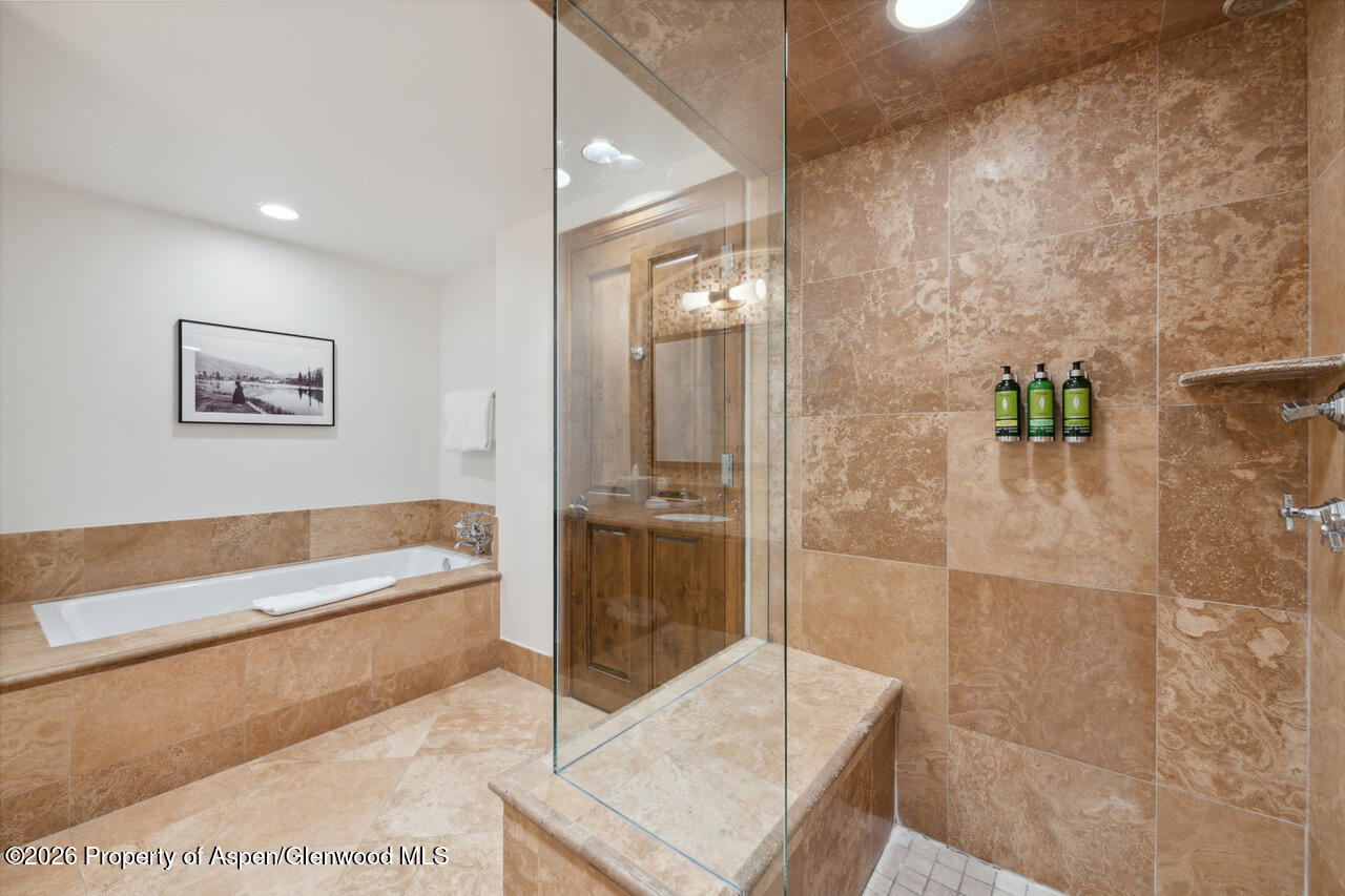 415 E Dean St. #32, Wk 9 Aspen CO 81611
