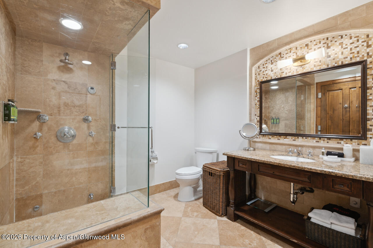 415 E Dean St. #32, Wk 9 Aspen CO 81611