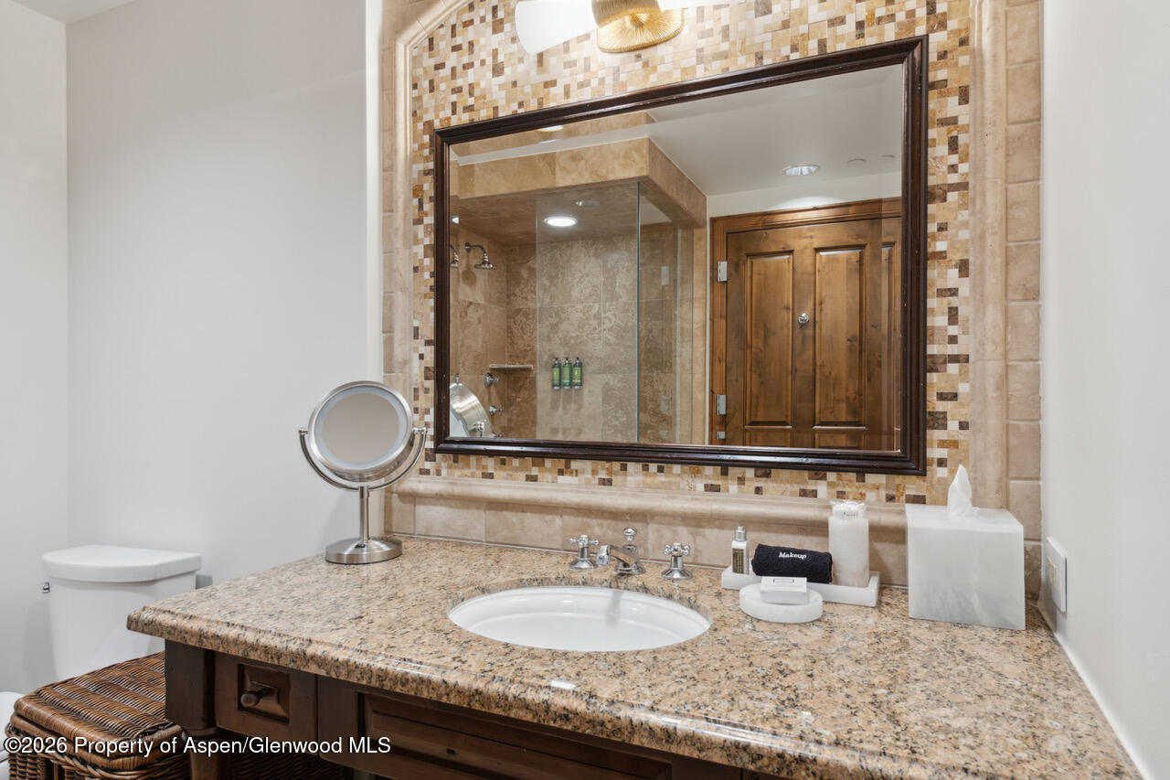 415 E Dean St. #32, Wk 9 Aspen CO 81611
