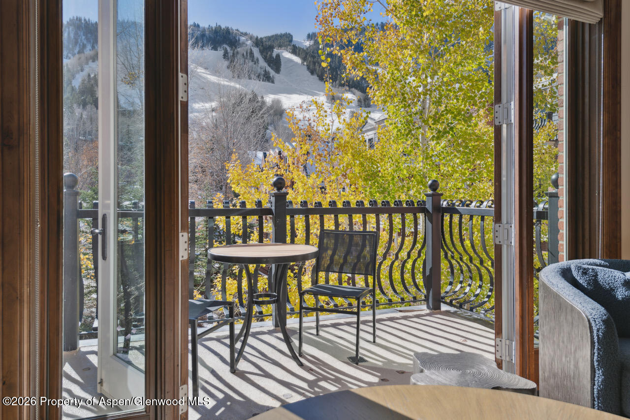 415 E Dean St. #32, Wk 9 Aspen CO 81611