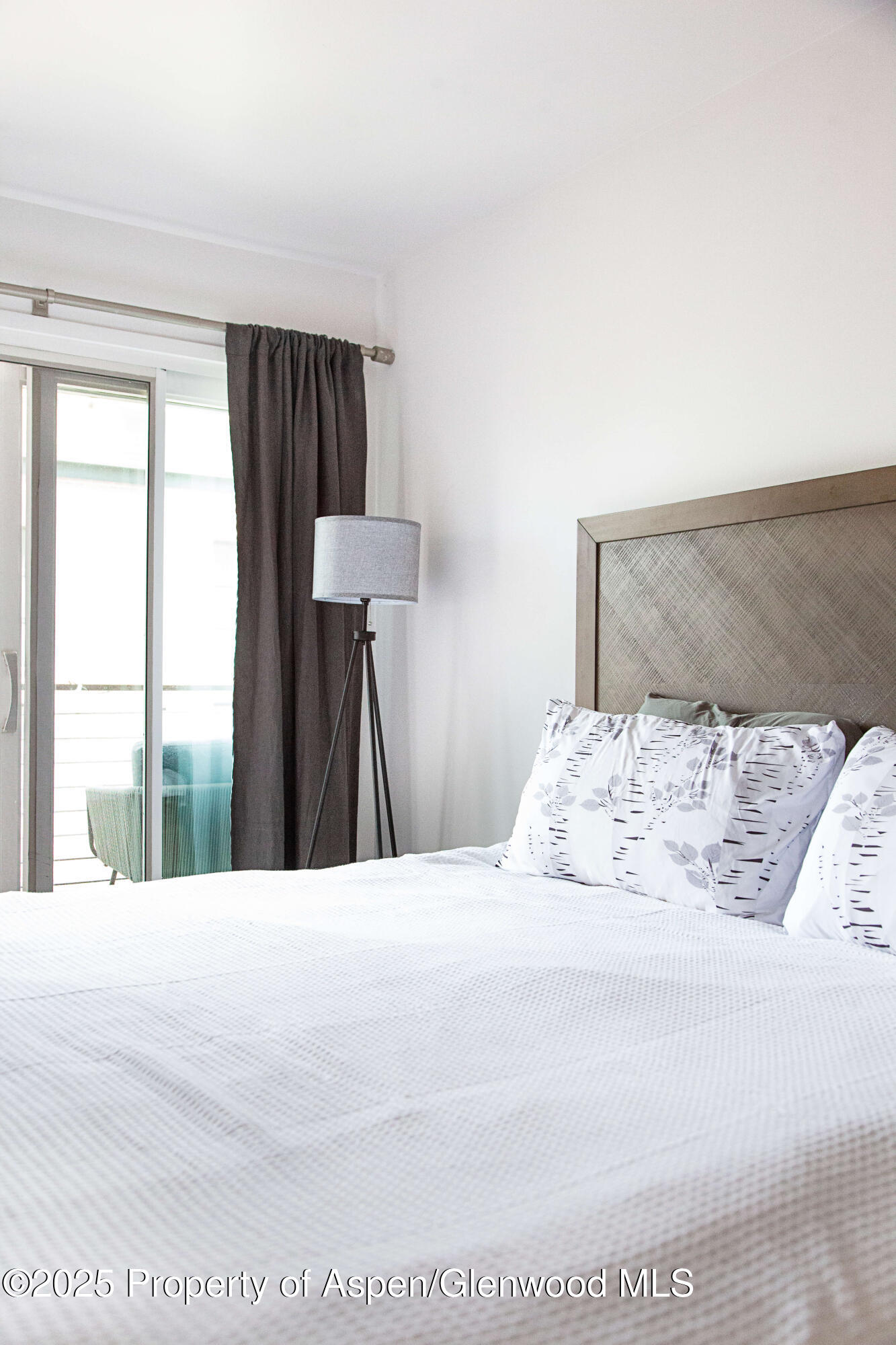 210 E Cooper Avenue Aspen CO 81611