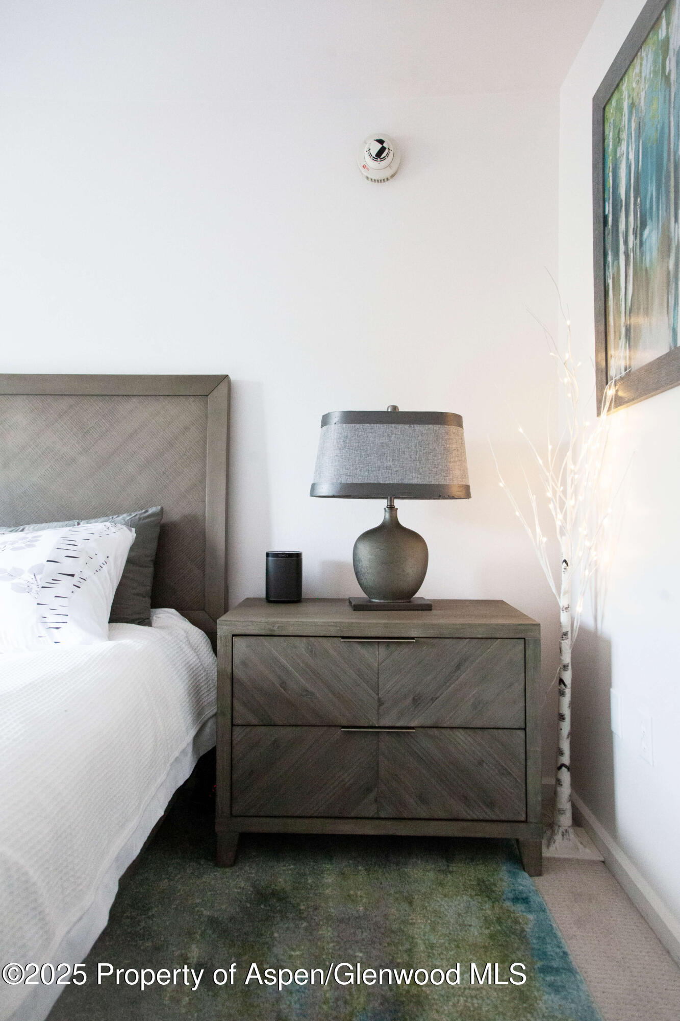 210 E Cooper Avenue Aspen CO 81611